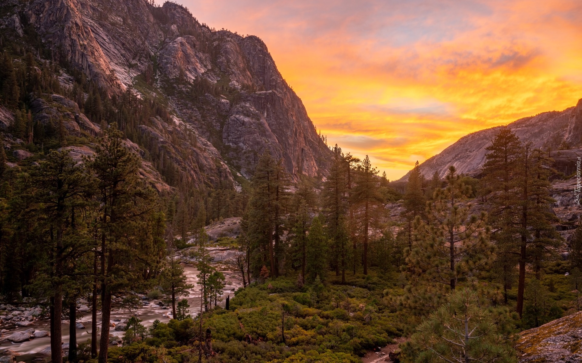 Park Narodowy Yosemite, Rzeka Tuolumne, Góry, Skały, Drzewa, Wielki Kanion Tuolumne, Zachód słońca, Kalifornia, Stany Zjednoczone