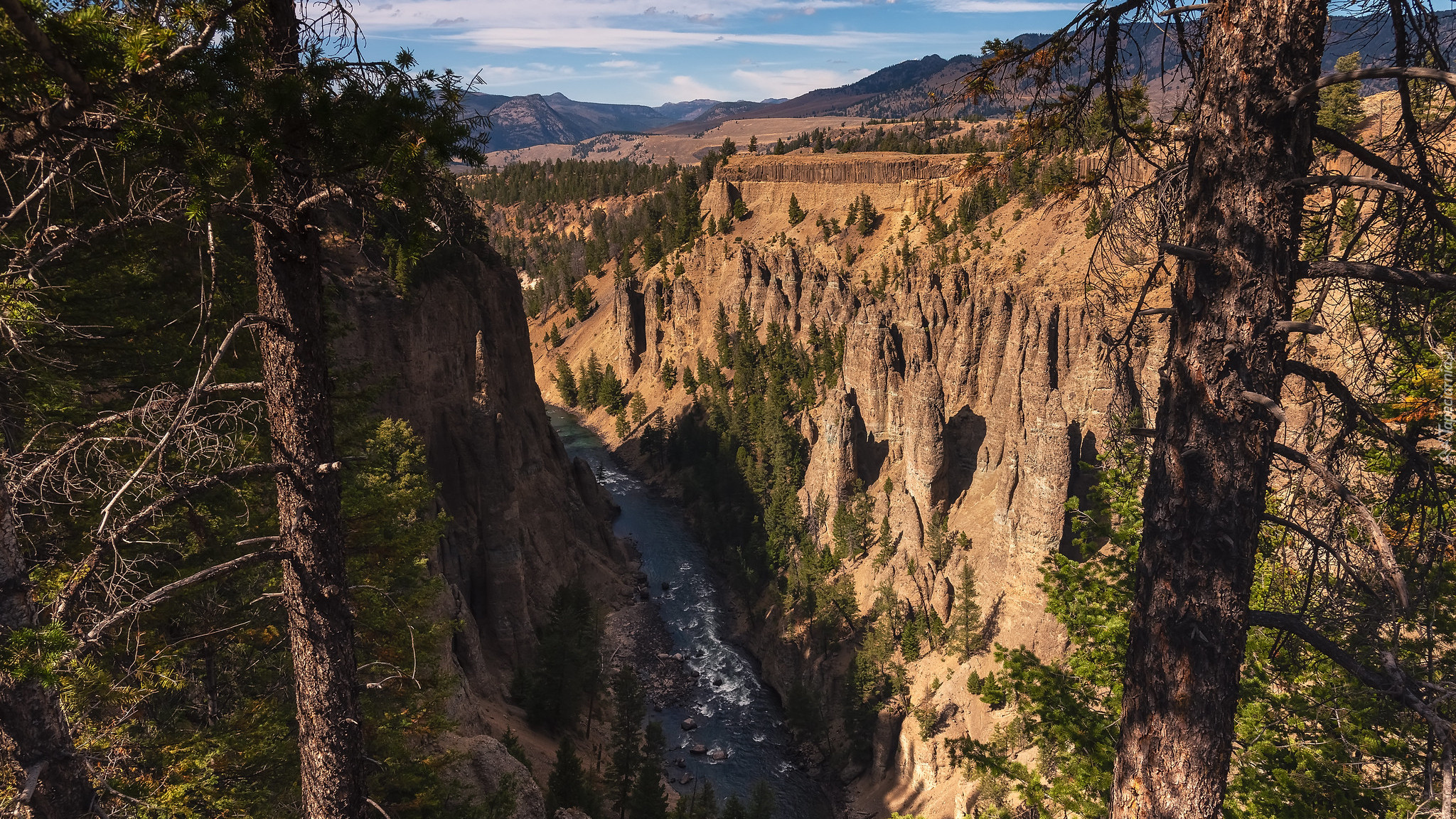 Góry, Skały, Rzeka, Yellowstone River, Drzewa, Park Narodowy Yellowstone, Wielki Kanion Yellowstone, Canyon Village, Wyoming, Stany Zjednoczone