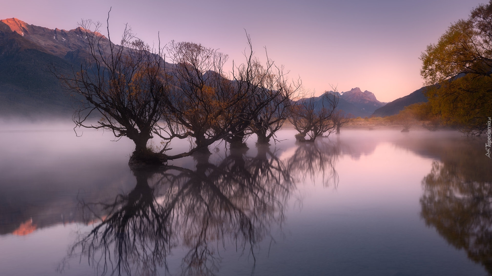 Wschód słońca, Jezioro, Wakatipu, Jesień, Rząd, Drzewa, Wierzby, Odbicie, Mgła, Glenorchy, Queenstown, Nowa Zelandia