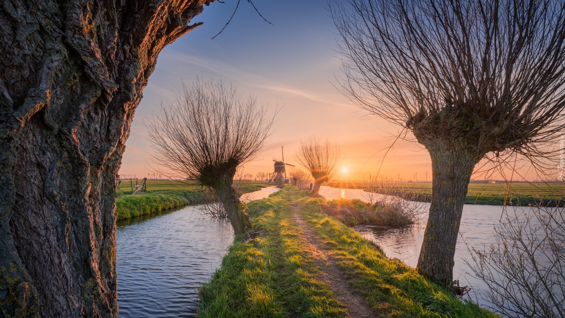 Wiatraki, Rzeka, Wschód słońca, Drzewa, Wierzby, Wieś Kinderdijk, Holandia