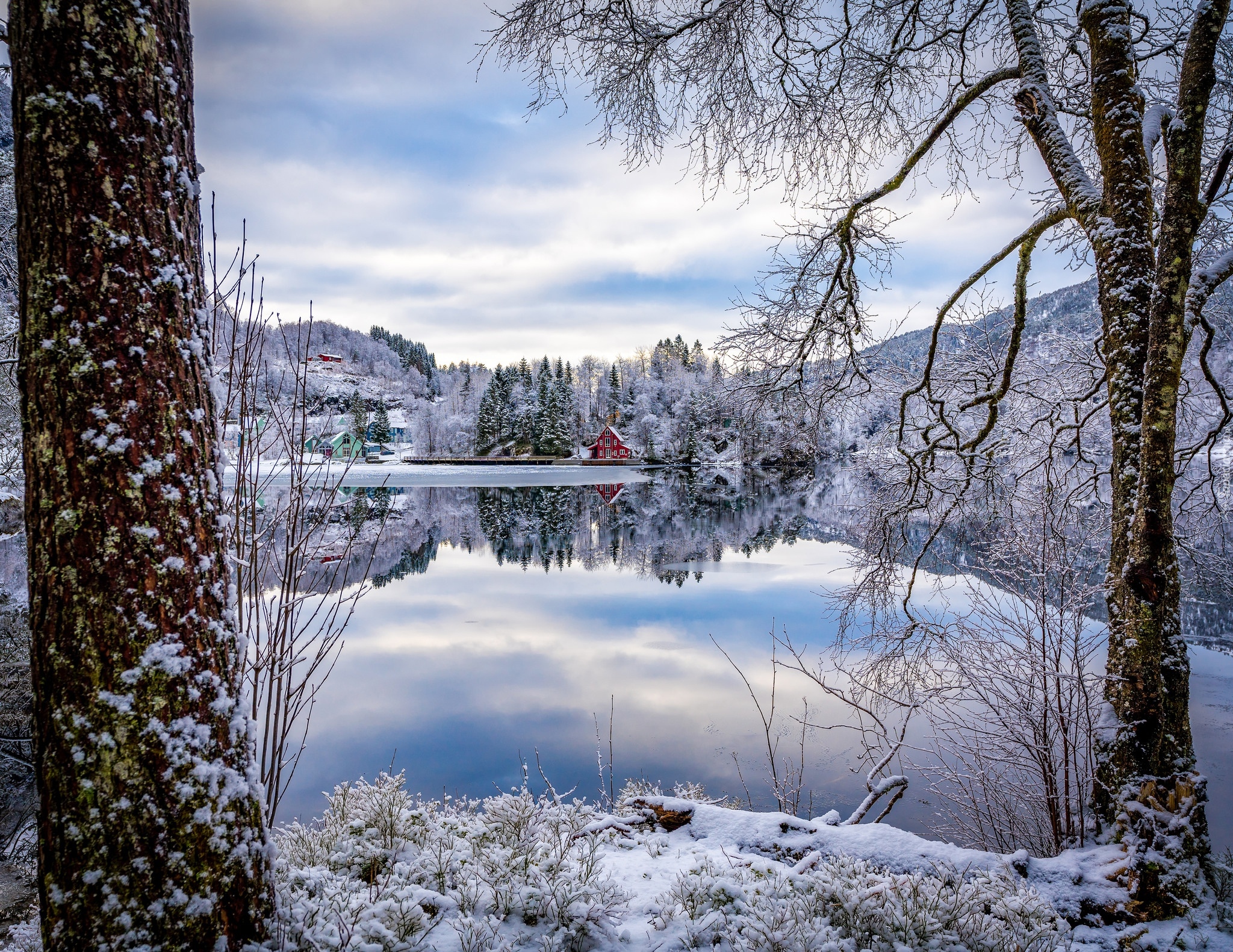 Norwegia, Okręg Sogn og Fjordane, Gmina Fjaler, Wieś Flekke, Zima, Fiord Dalsfjorden, Drzewa, Domy