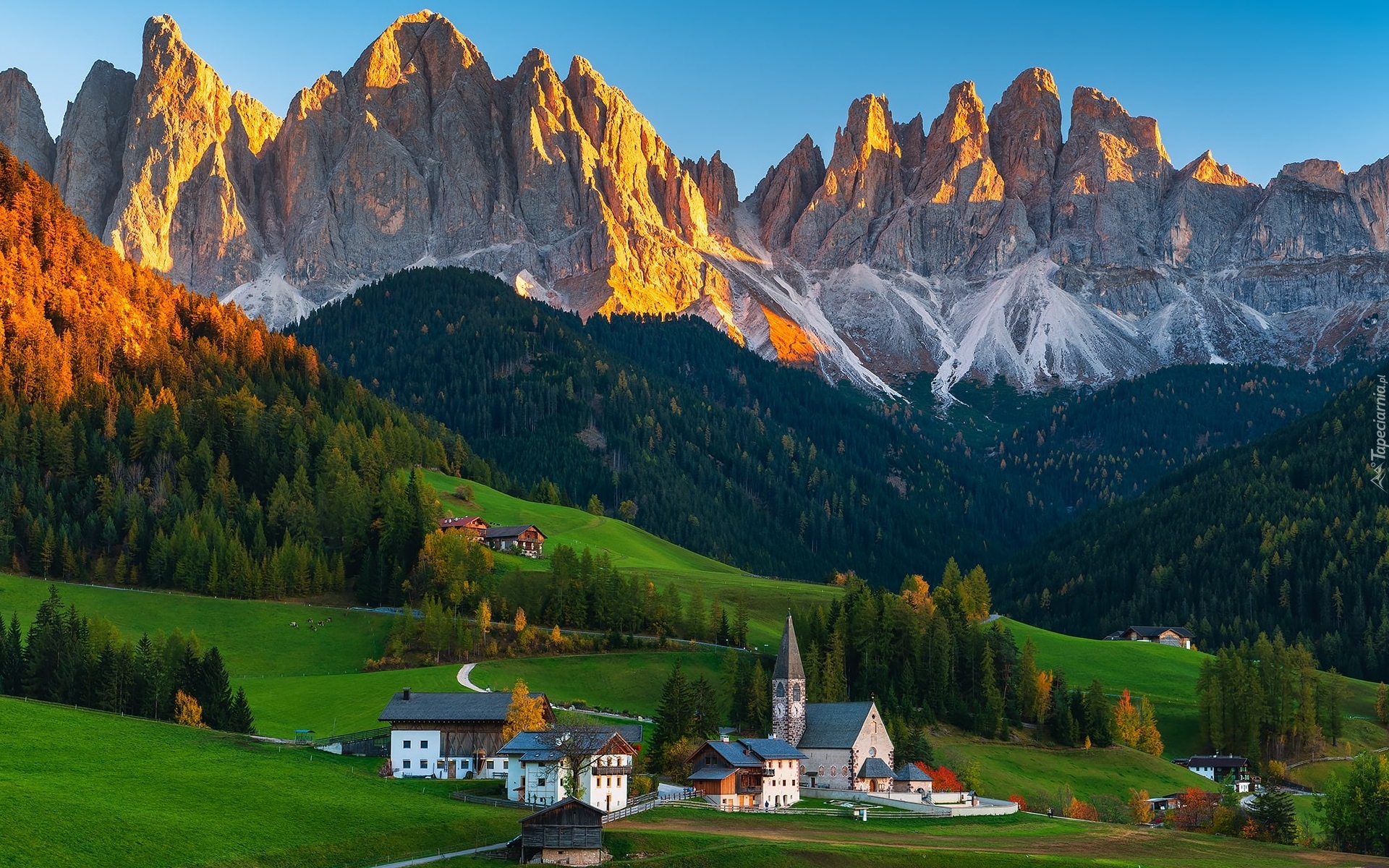 Włochy, Dolina, Val di Funes, Wieś, Santa Maddalena, Rozświetlone, Góry, Dolomity, Lasy, Drzewa, Domy, Kościół