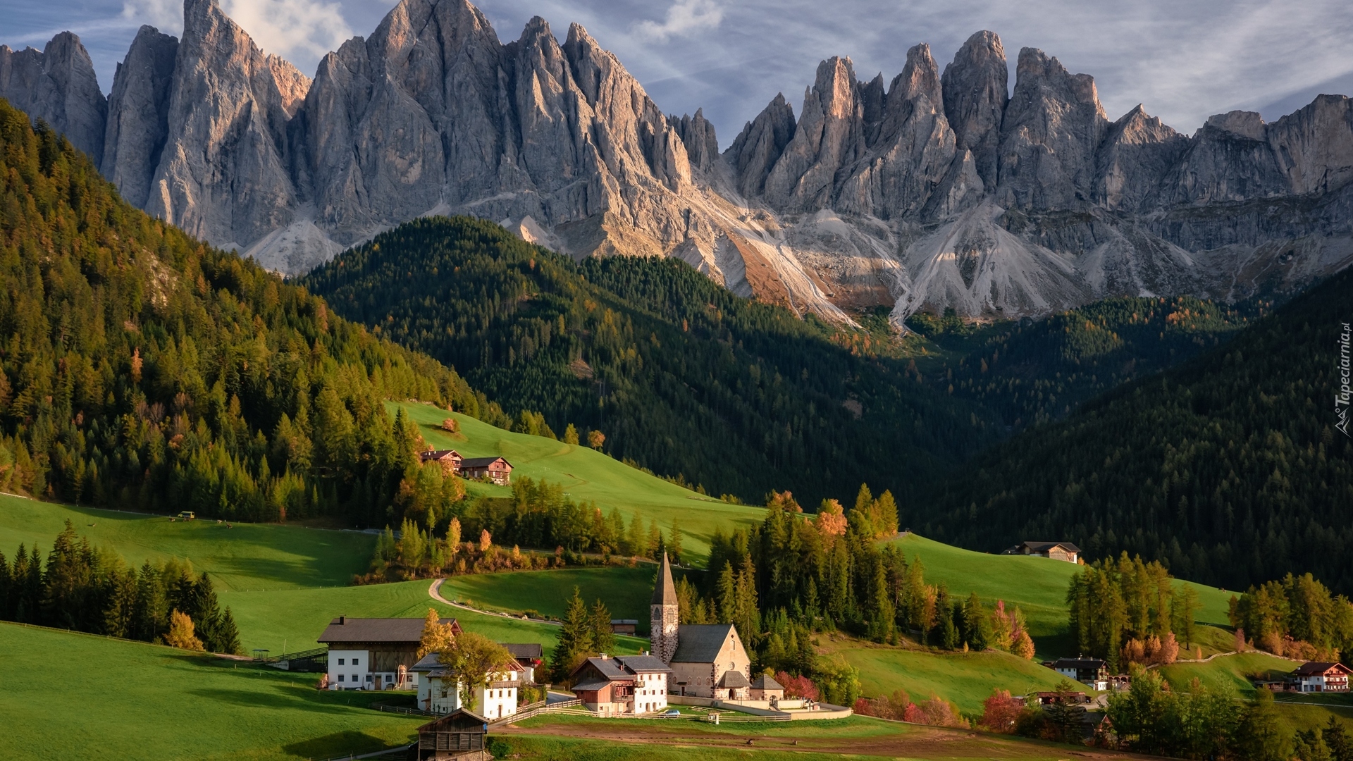 Włochy, Wieś Santa Maddalena, Dolina Val di Funes, Góry, Dolomity, Lasy, Drzewa, Domy, Kościół