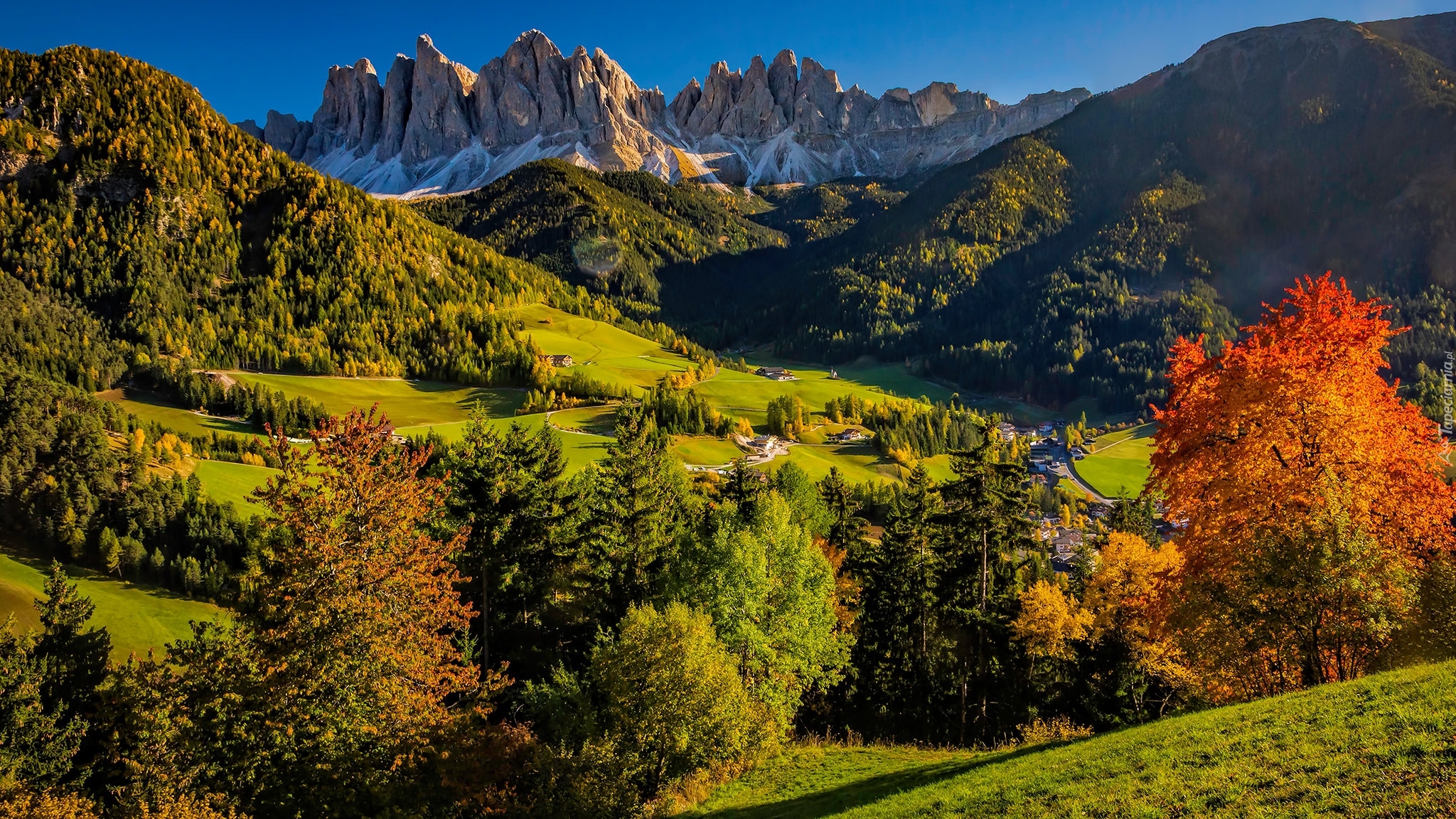 Włochy, Góry, Dolomity, Dolina Val di Funes, Santa Maddalena, Jesień, Domy, Drzewa