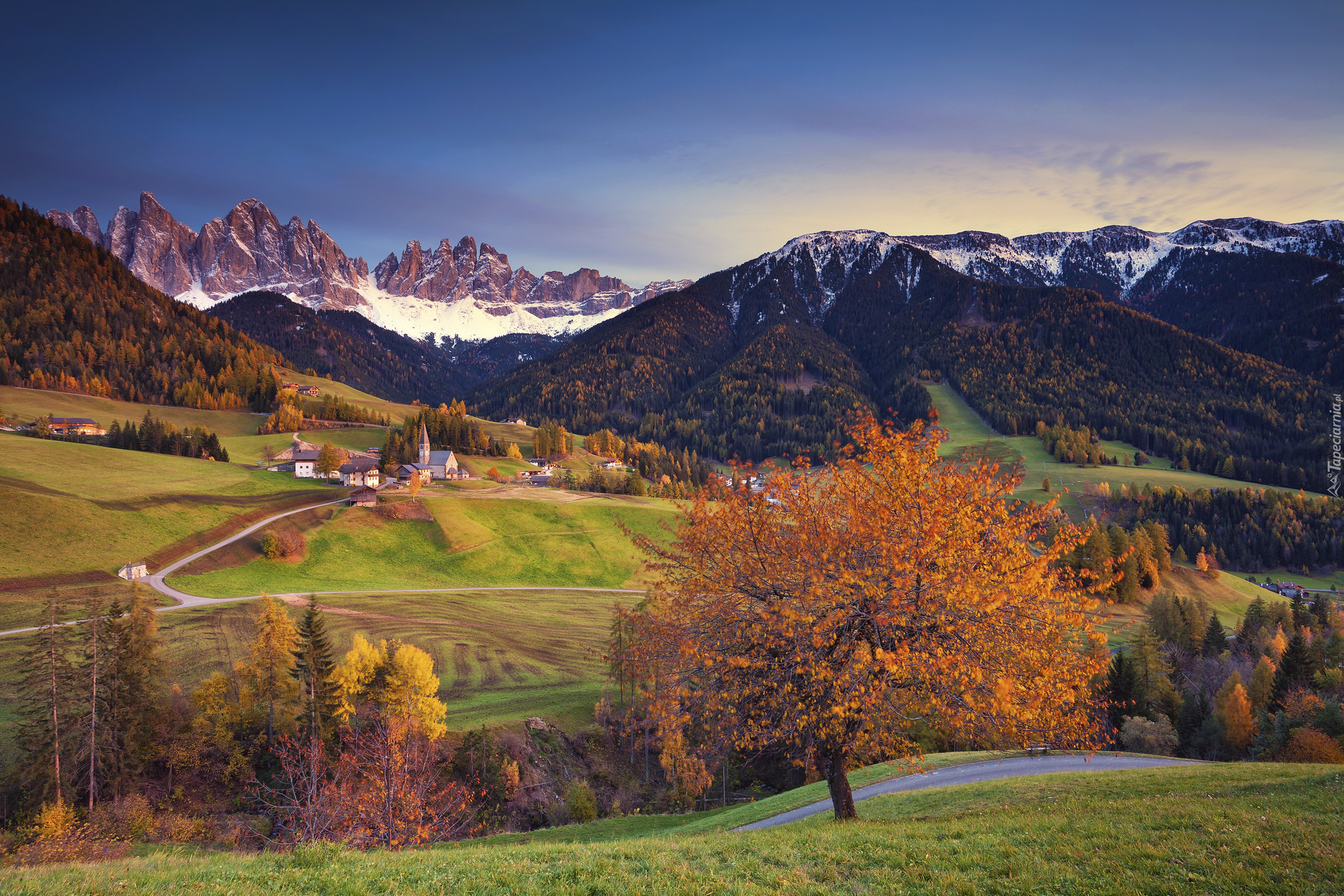 Włochy, Dolina Val di Funes, Wieś Santa Maddalena, Góry, Dolomity, Lasy, Drzewa, Jesień, Domy, Kościół