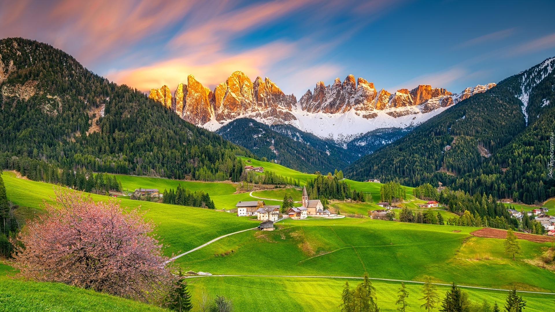 Włochy, Dolina, Val di Funes, Wieś, Santa Maddalena, Góry, Dolomity, Lasy, Drzewa, Domy, Kościół, Okwiecone, Drzewo, Wiosna