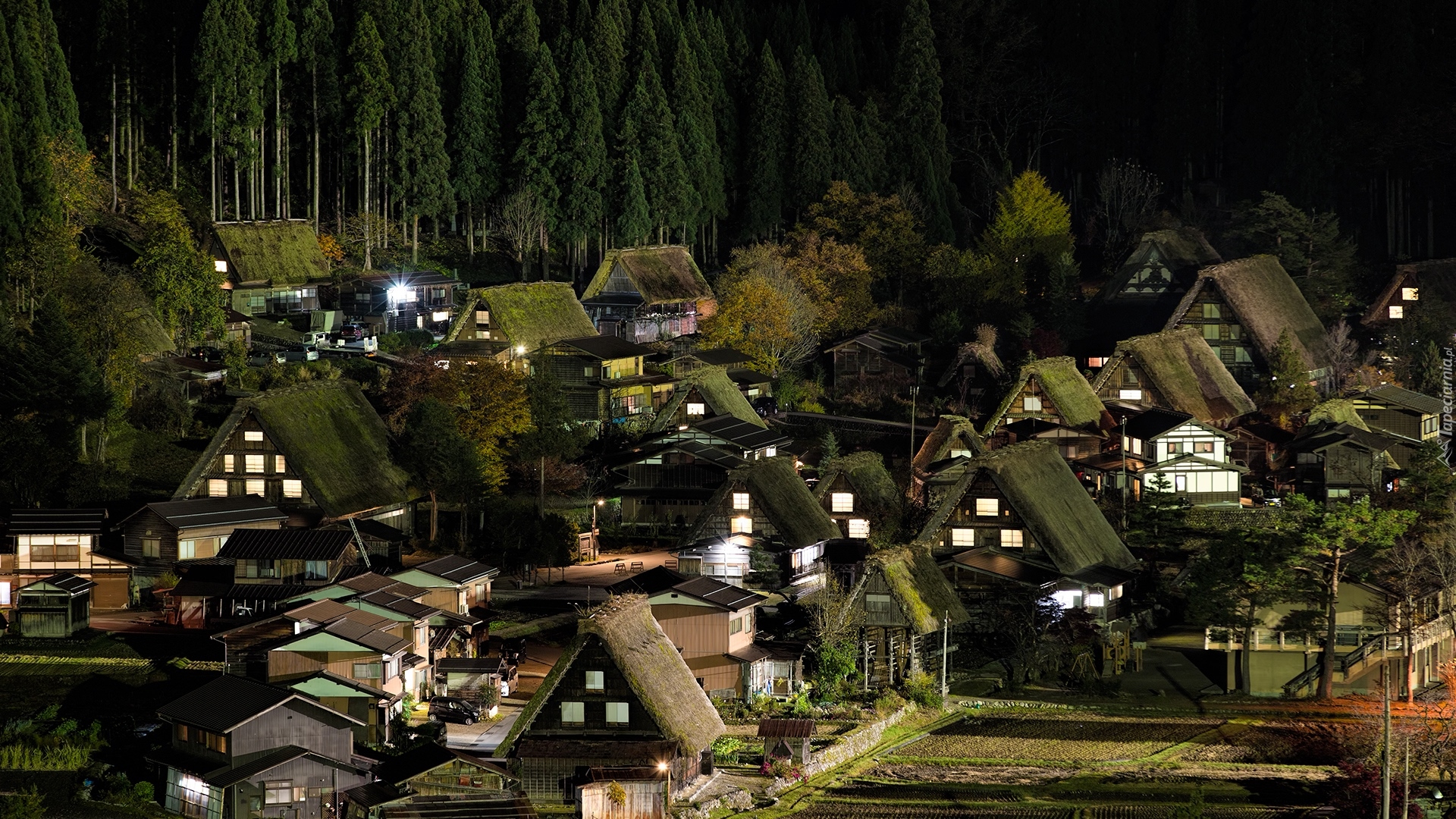 Wioska Shirakawa, Prefektura Gifu, Japonia, Noc, Domy, Las