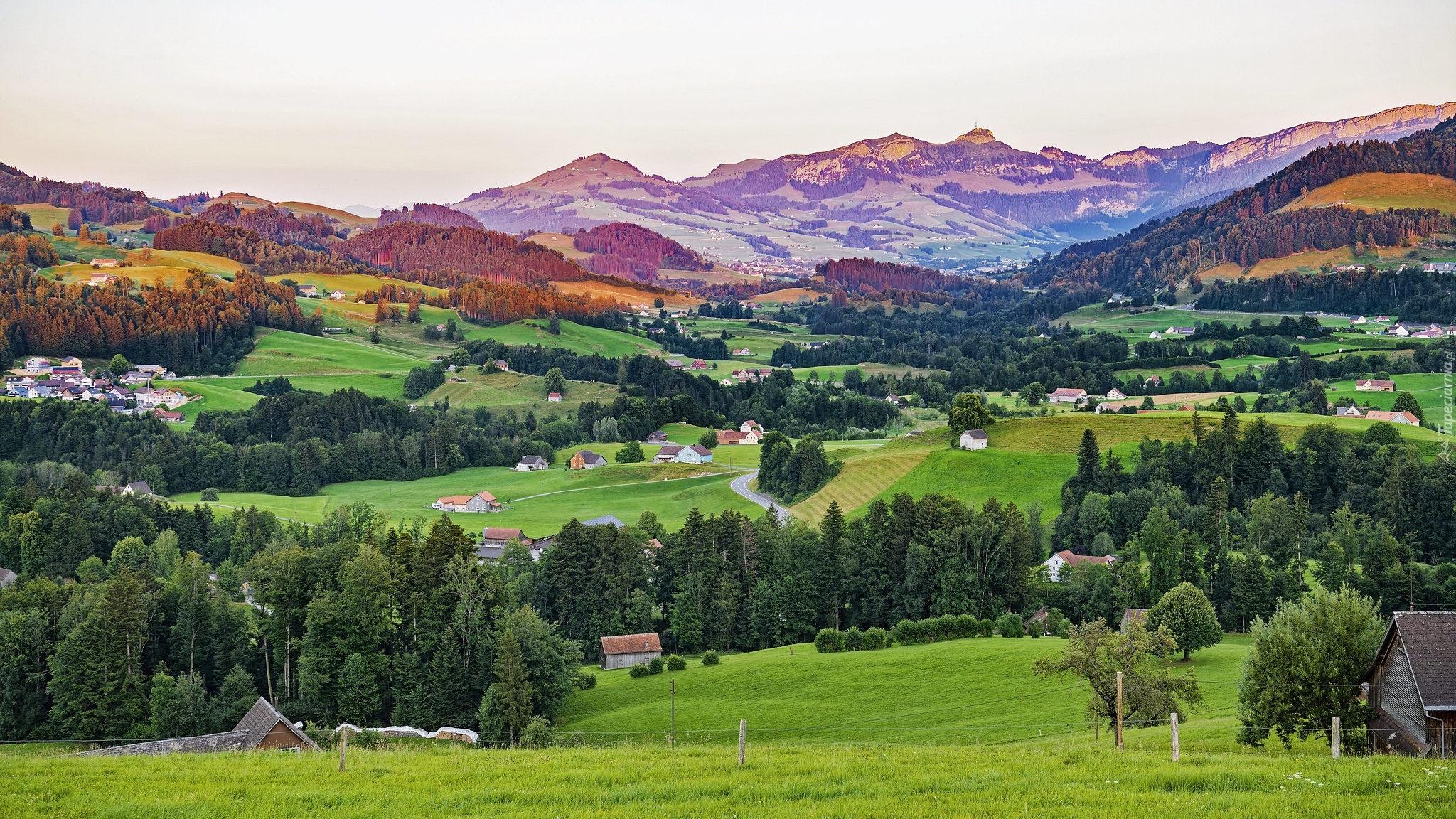 Góry, Alpy Szwajcarskie, Domy, Drzewa, Wzgórza, Gmina Stein, Szwajcaria