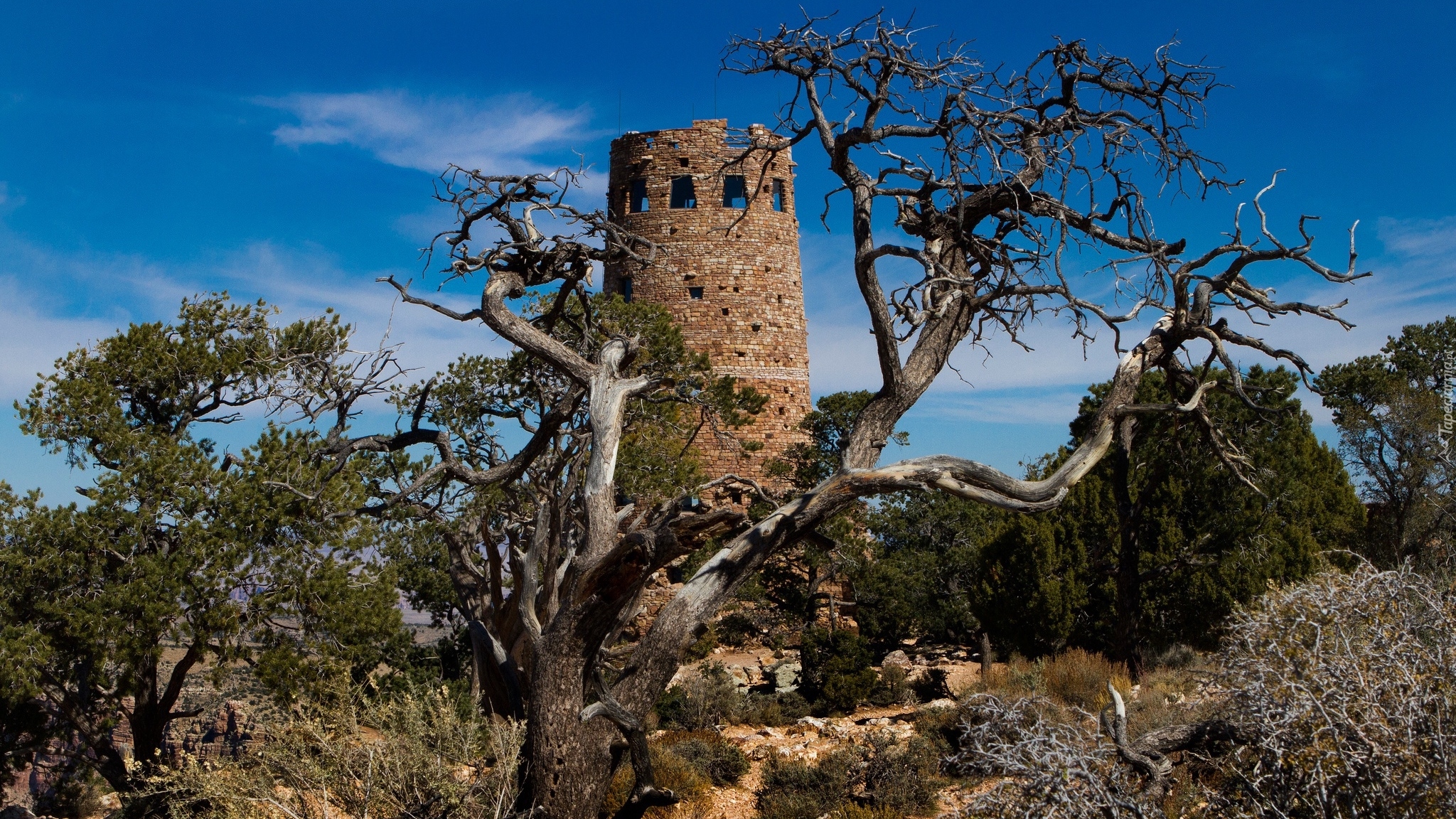 Stany Zjednoczone, Stan Arizona, Park Narodowy Wielkiego Kanionu, Wieża Desert View Watchtower, Niebo, Drzewa, Zarośla