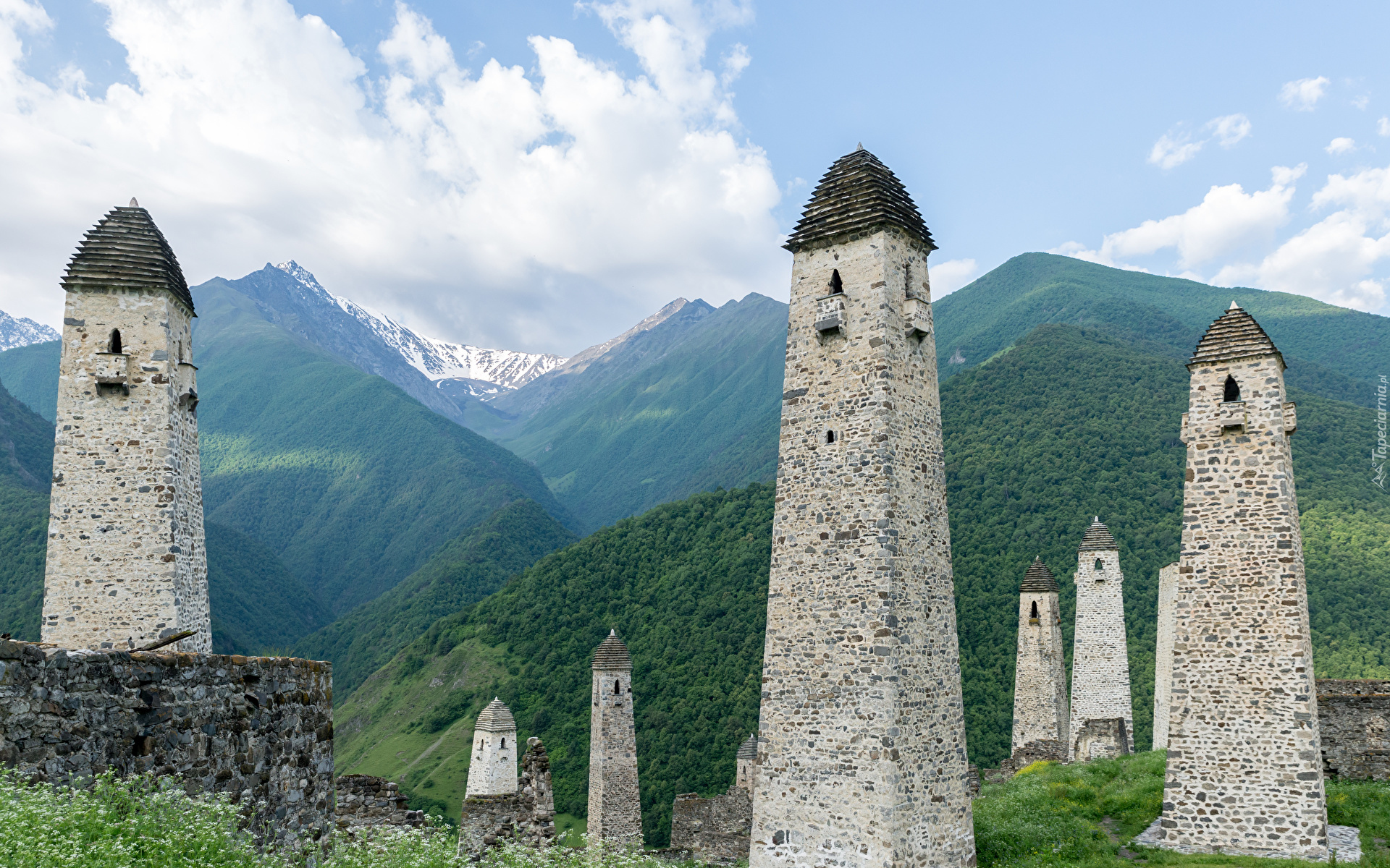 Erzi, Inguszetia, Kaukaz, Skały, Ruiny, Wieże obronne, Góry, Drzewa, Rosja