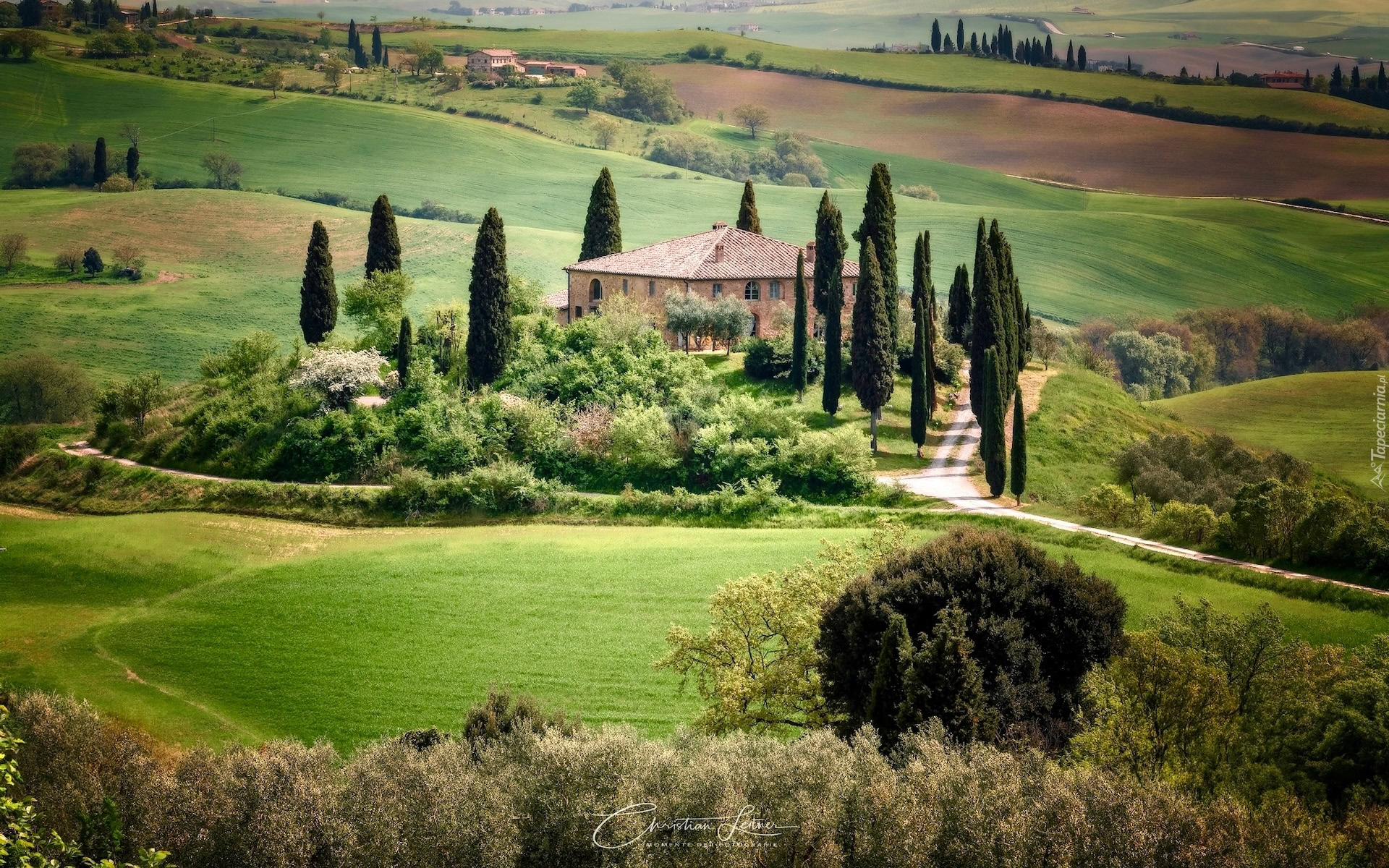 Willa Podere Belvedere Na Wzg rzach Toskanii Willa Podere Belvedere Na Wzg rzach Toskanii