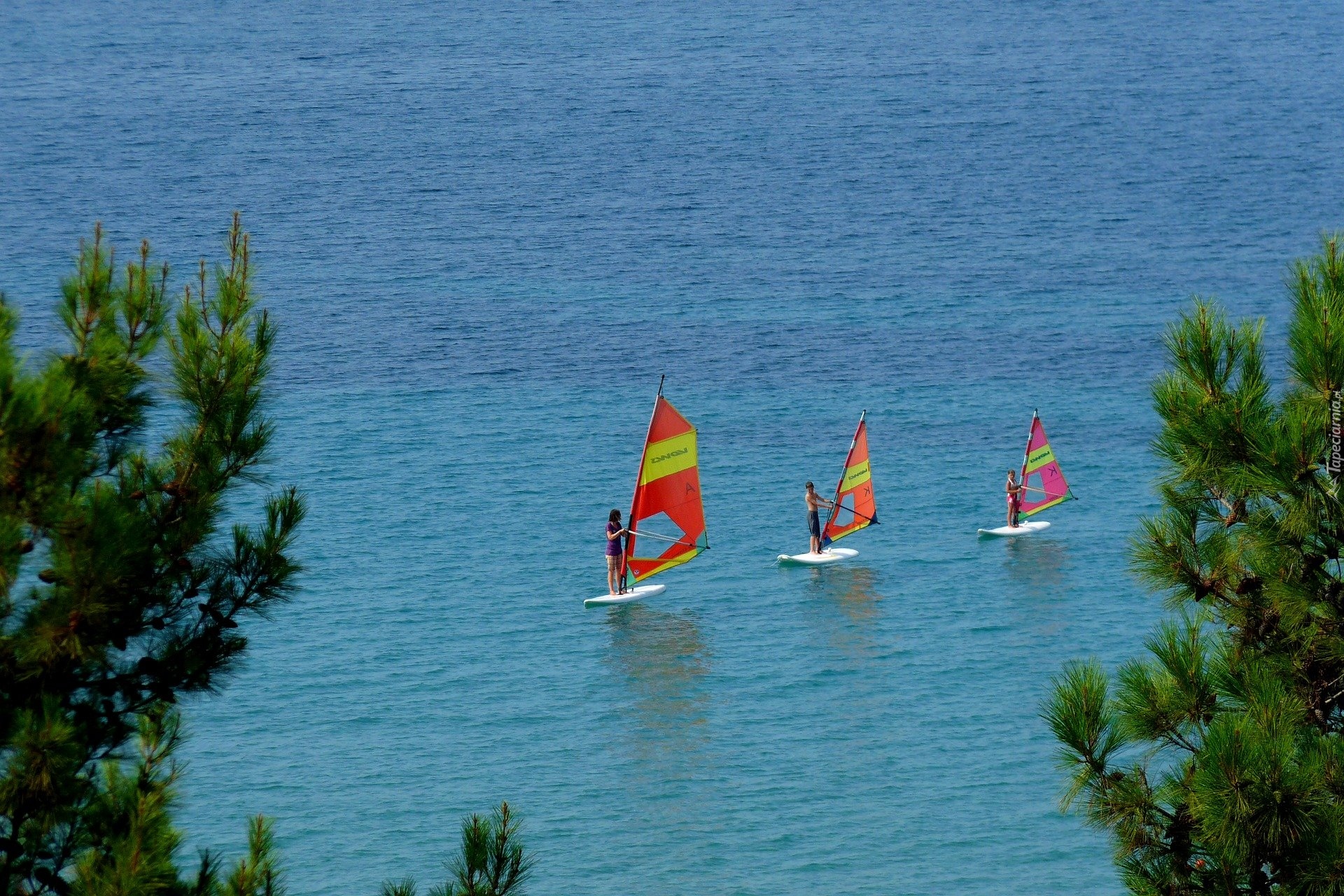 Morze, Windsurfing, Drzewa