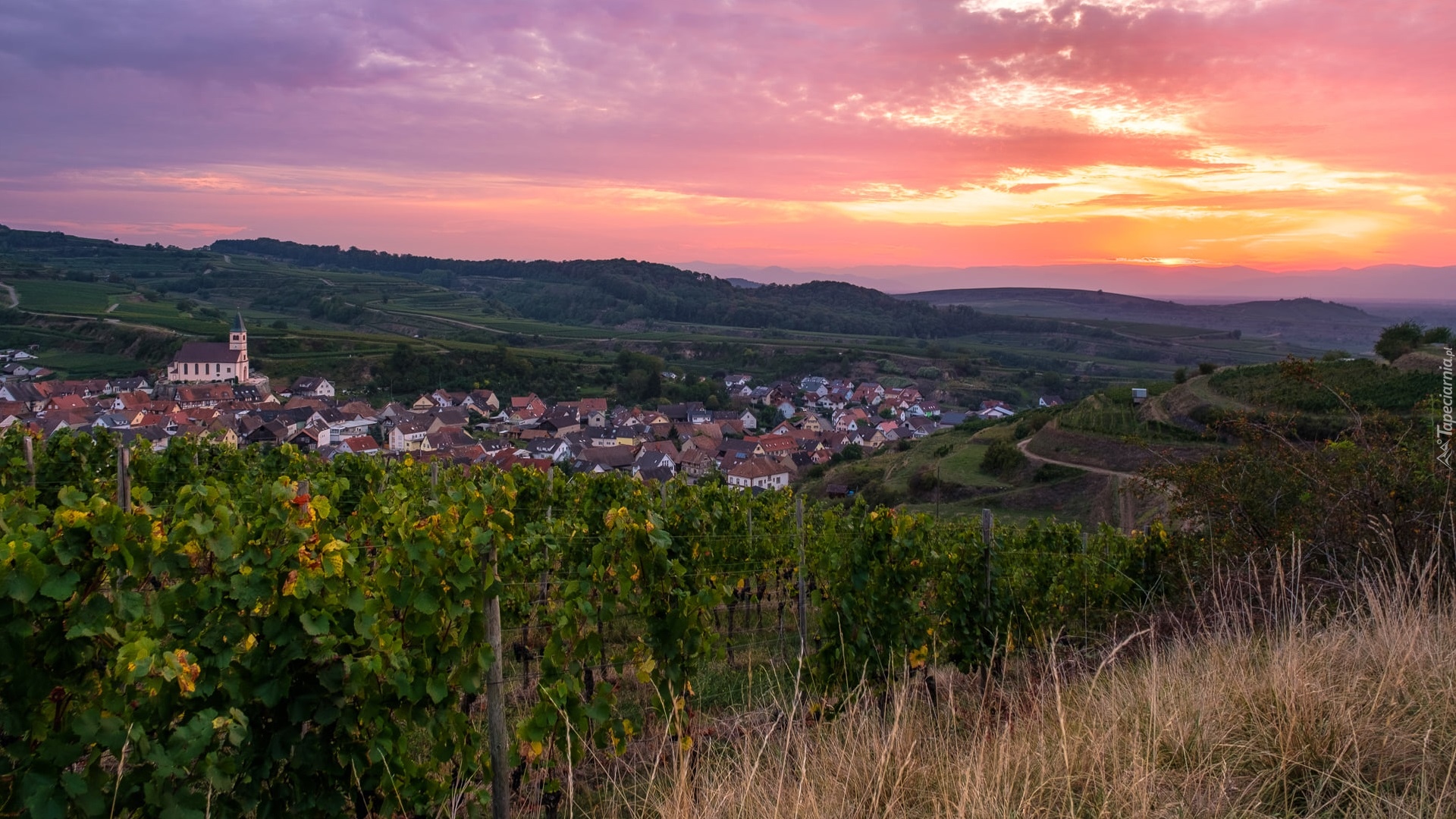 Wzgórza, Kaiserstuhl, Domy, Plantacja, Winnice, Zachód słońca, 
Bahlingen, Badenia-Wirtembergia, Niemcy