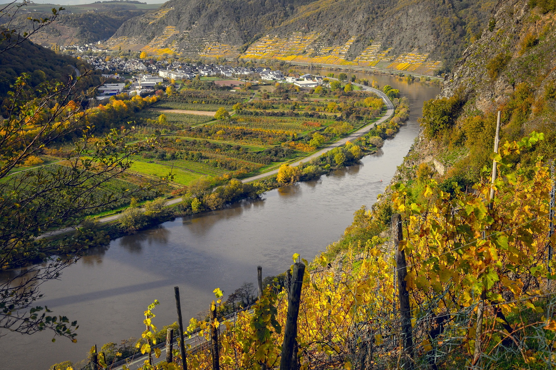 Rzeka Mozela, Wzgórza, Winnice, Jesień, Niemcy