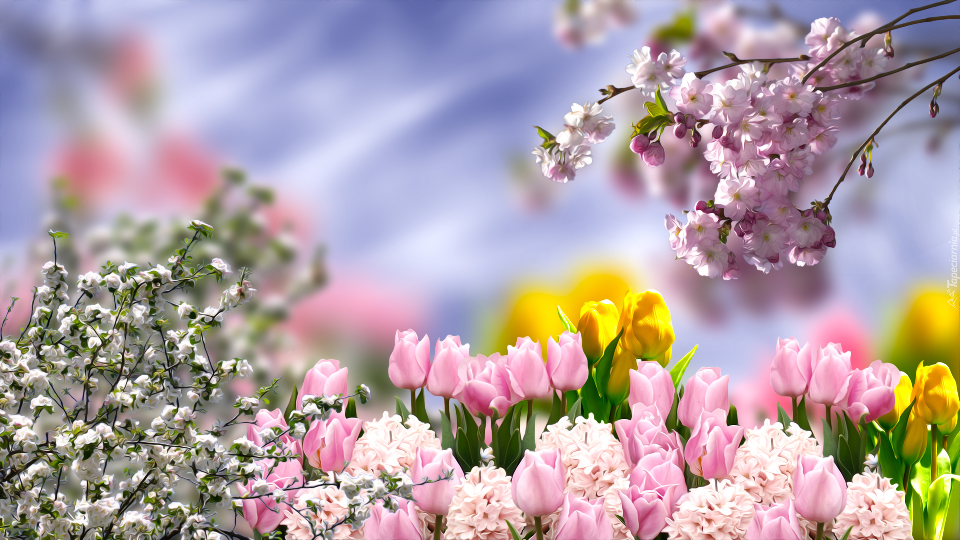 Wiosna, Kwiaty, Grafika