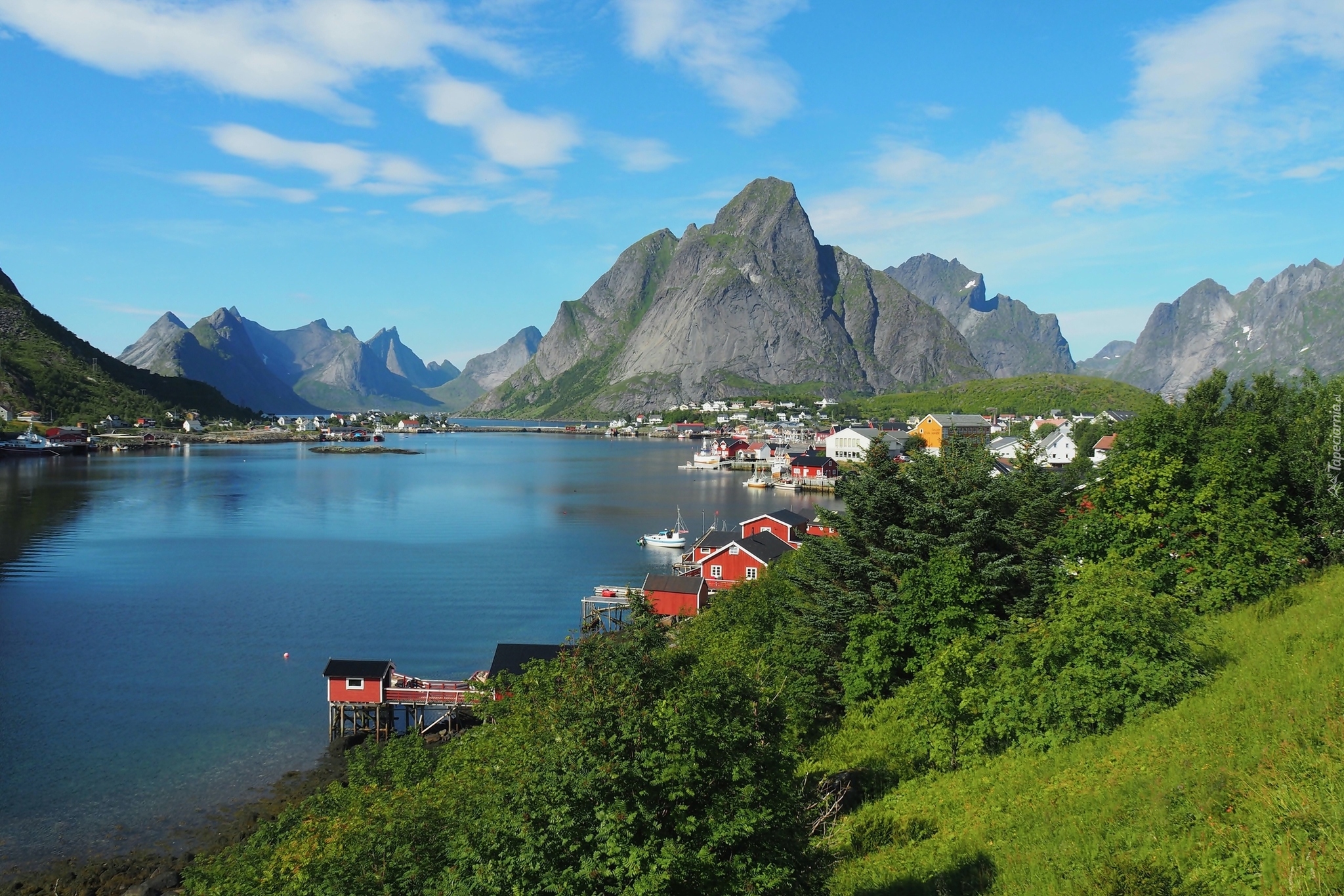 Norwegia, Lofoty, Wyspa Moskenesoya, Wioska Reine, Morze Norweskie, Domy, Góry, Drzewa