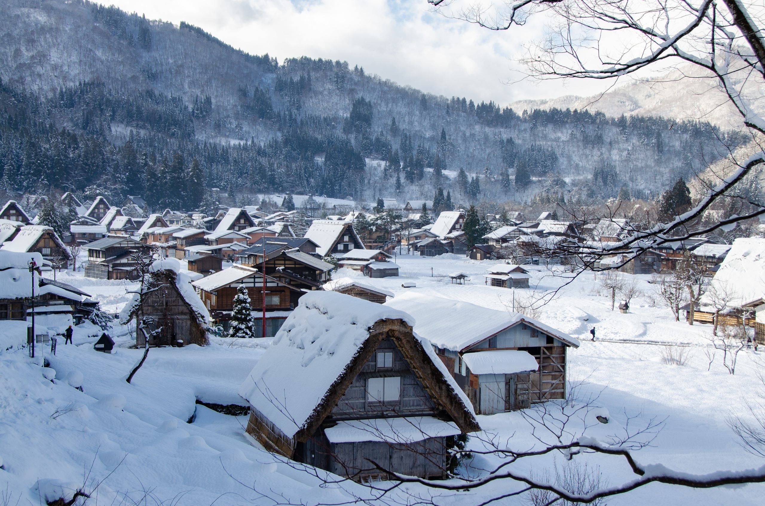 Zima, Drewniane, Domy, Śnieg, Drzewa, Góry, Wieś Shirakawa, Prefektura Gifu, Japonia