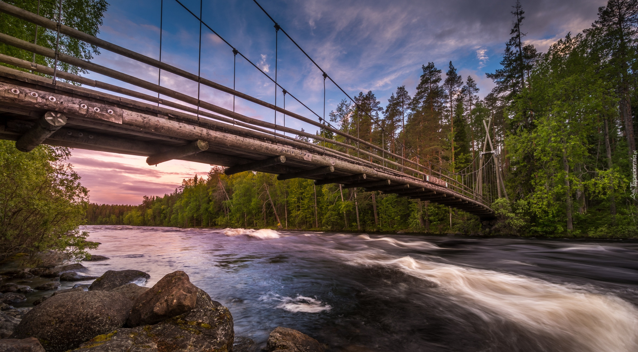 Finlandia, Rzeka Neitijoki, Bystrze Haapavitja, Most, Drzewa