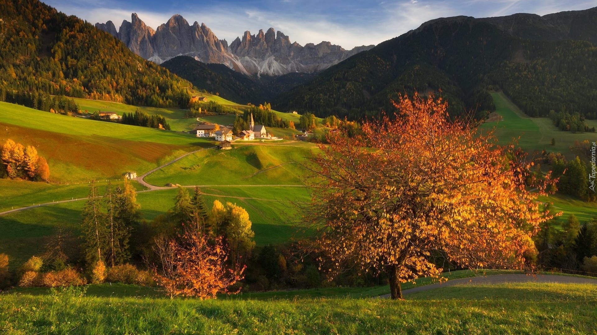 Góry, Dolomity, Wieś, Santa Maddalena, Kościół, Domy, Dolina Val di Funes, Drzewa, Jesień, Włochy