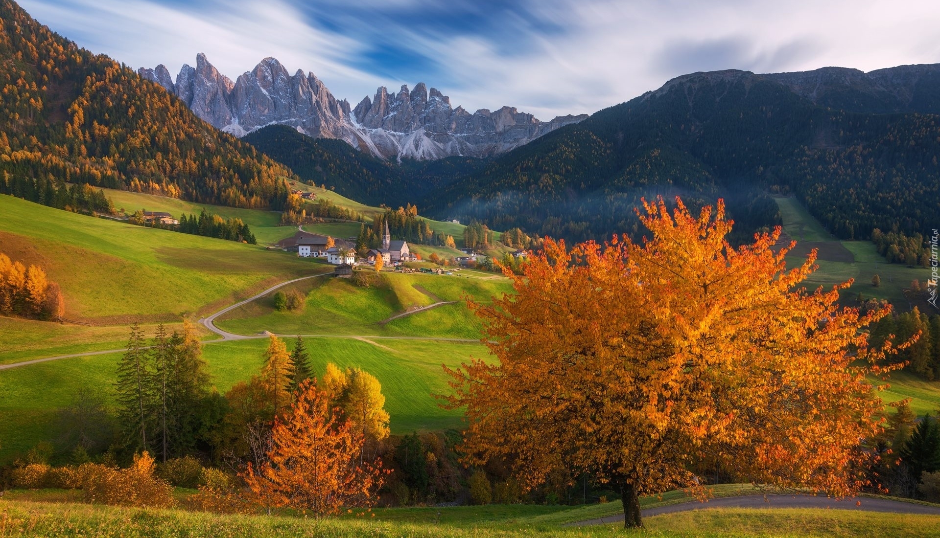 Góry, Dolomity, Wieś, Santa Maddalena, Dolina Val di Funes, Jesienne, Drzewa, Lasy, Jesień, Domy, Droga, Włochy