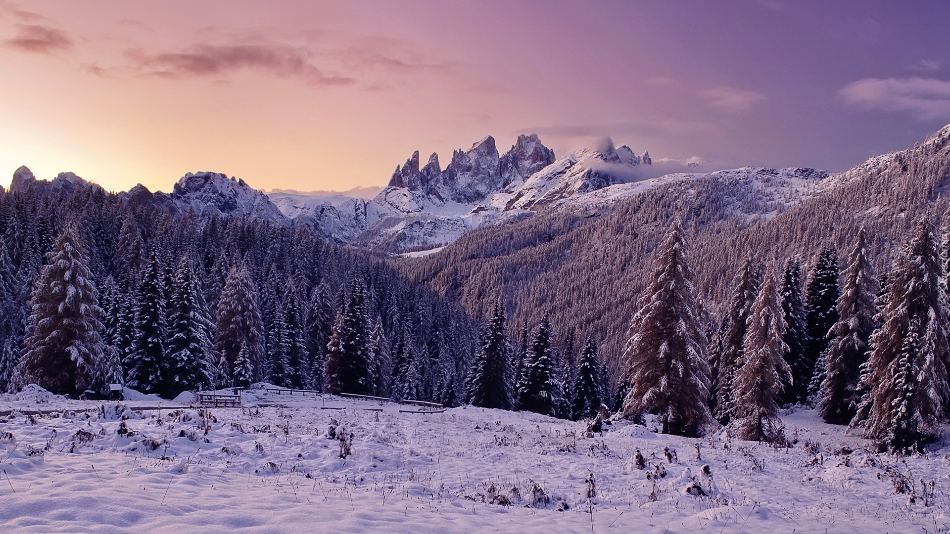 Włochy, Dolomity, Zachód Słońca, Góry, Zima, Las, Drzewa