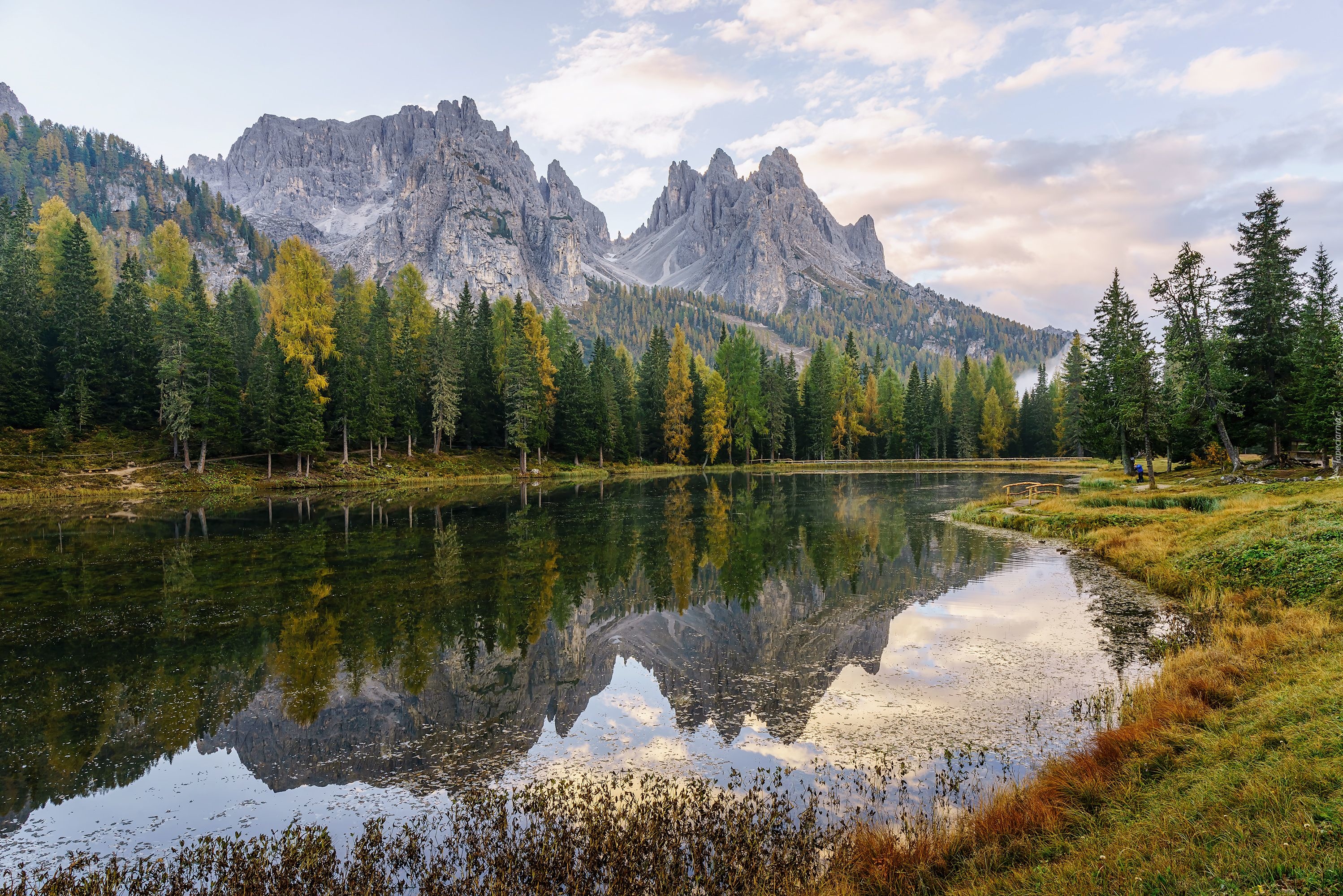 Włochy, Dolomity, Jezioro Lago di Antorno, Góry, Las, Drzewa, Trawa