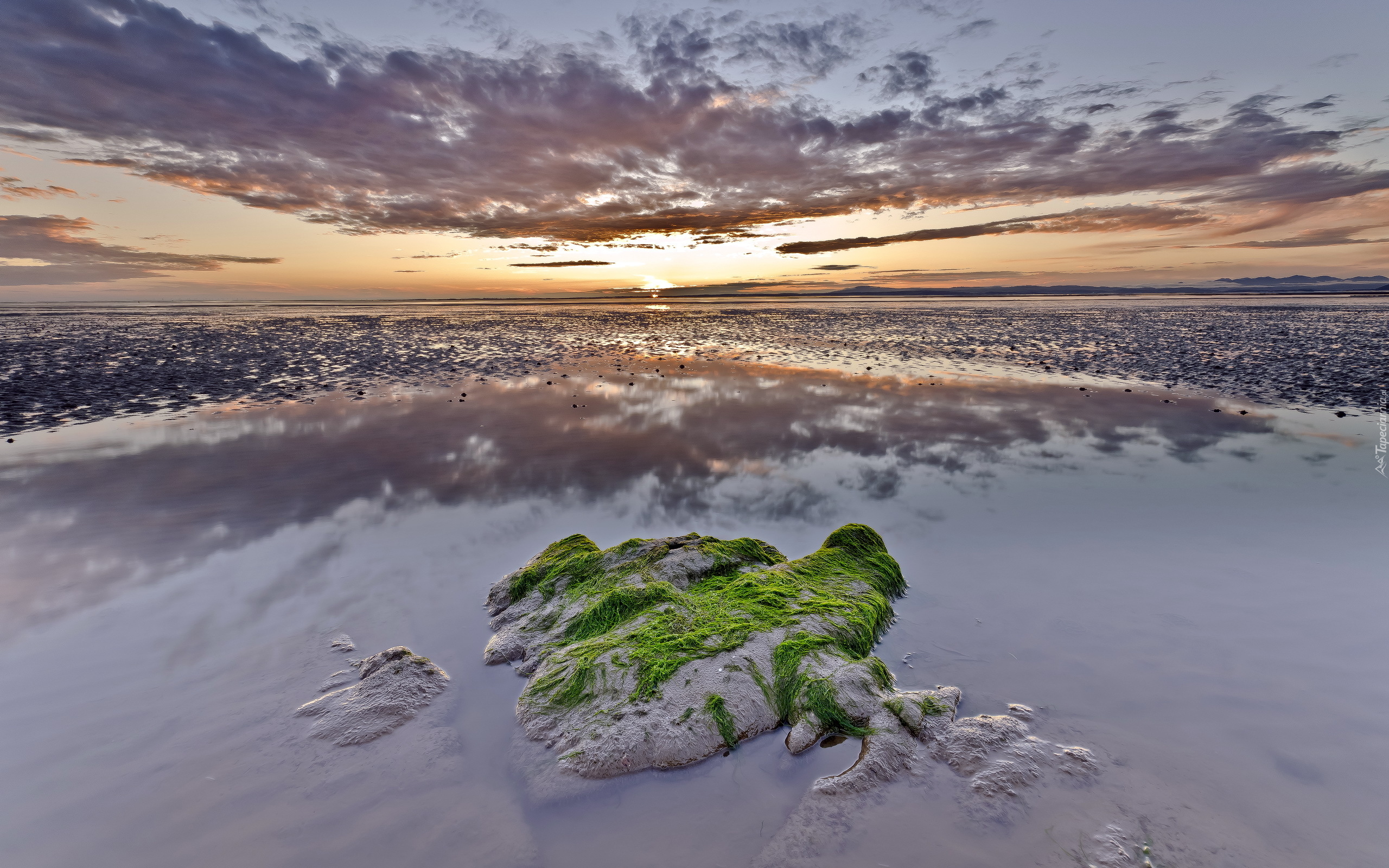 Morze, Plaża, Zachód słońca, Wodorosty