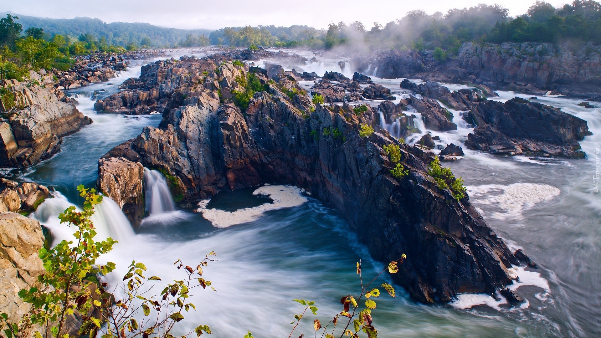 Skały, Rzeka Potomak, Mgła, Drzewa, Wodospad, Great Falls, Stan Wirginia, Stany Zjednoczone