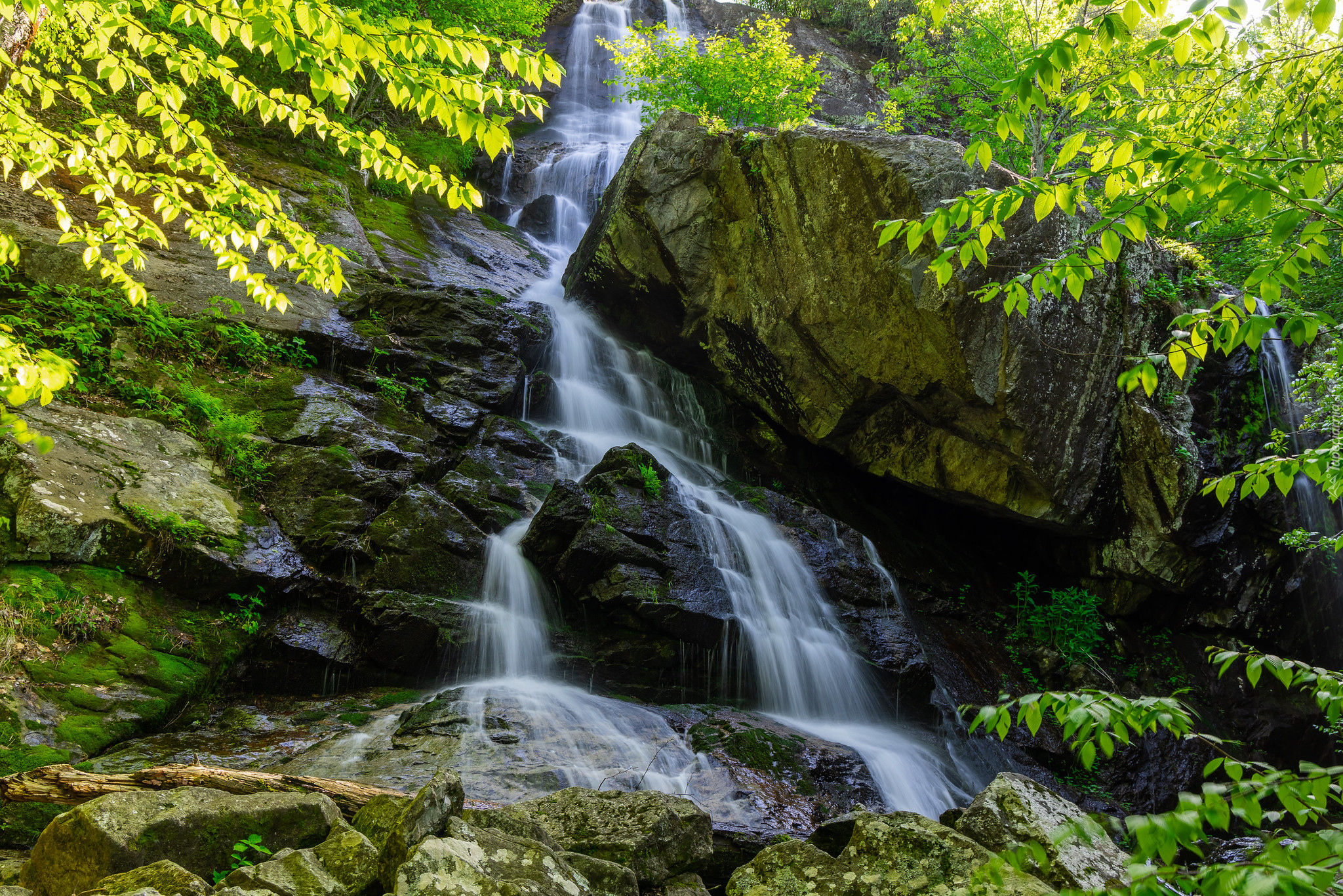 Wodospad, Apple Orchard Falls, Skały, Drzewa, Roślinność, Wirginia, Stany Zjednoczone