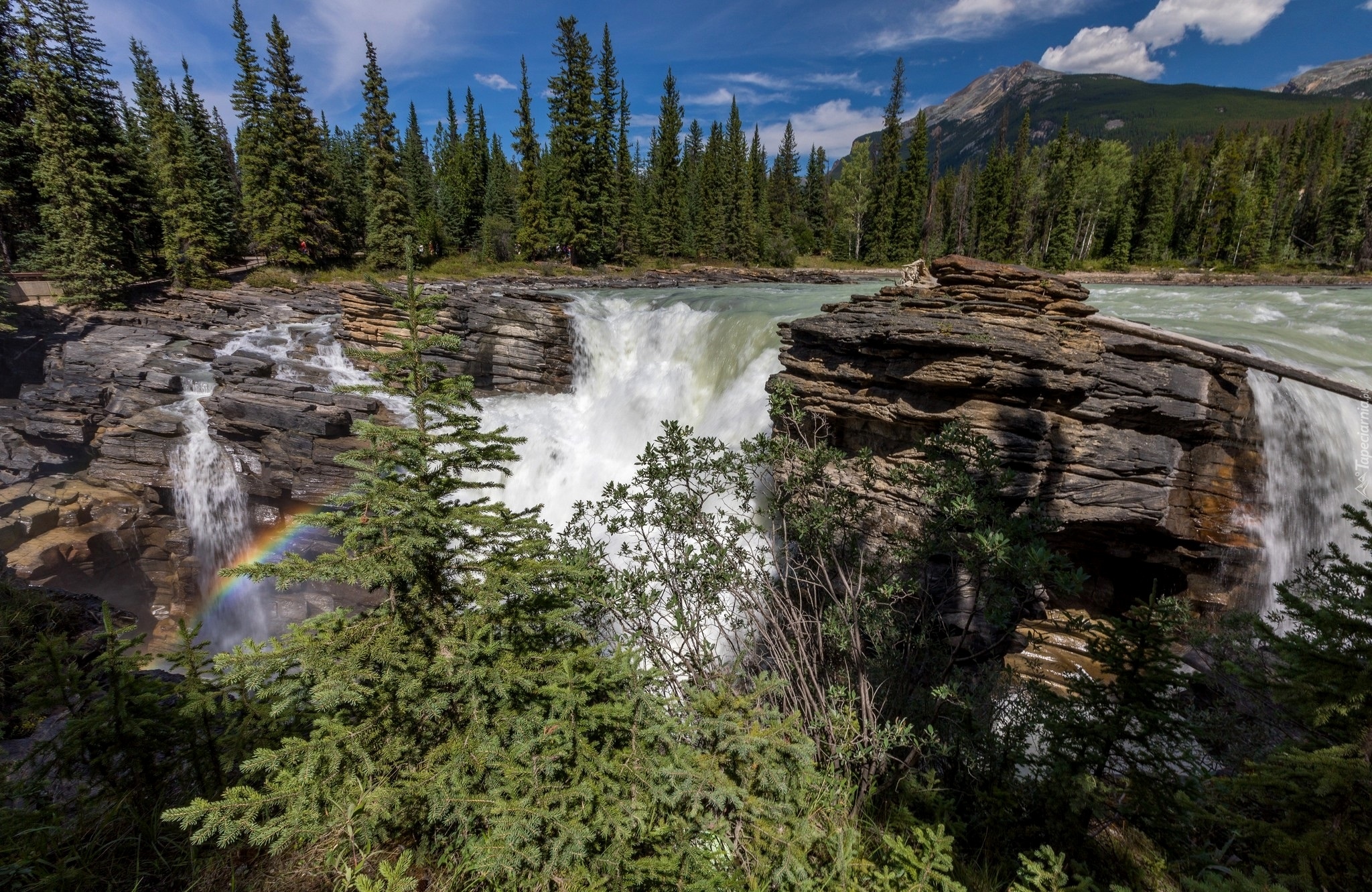 Kanada, Prowincja Alberta, Park Narodowy Jasper, Wodospad Athabasca, Rzeka Athabasca, Skały, Tęcza, Świerki