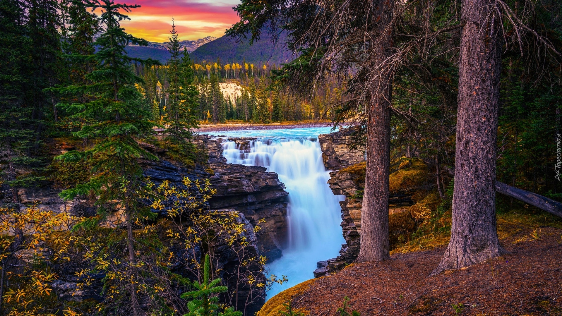 Kanada, Alberta, Park Narodowy Jasper, Wodospad, Athabasca Waterfall, Drzewa, Zachód słońca