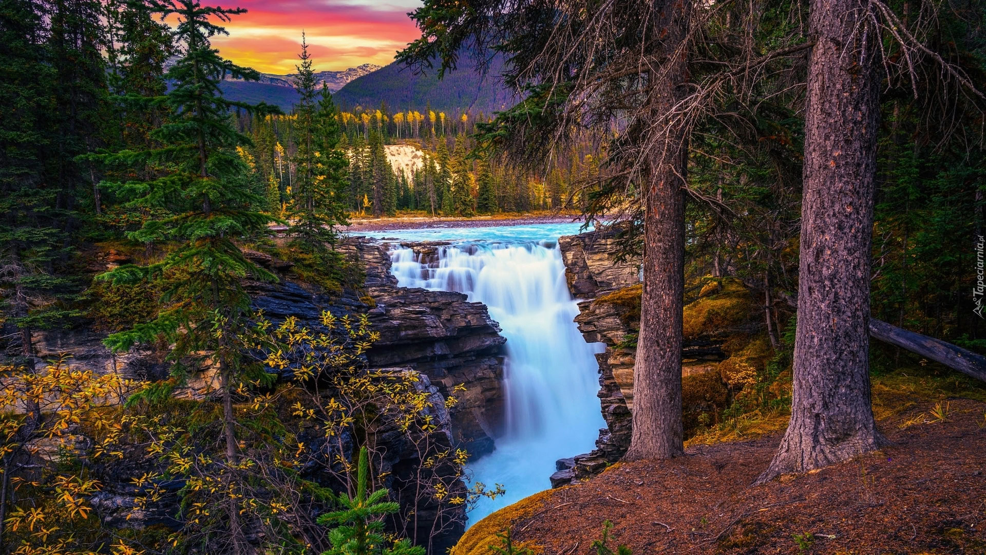 Wodospad Athabasca Waterfall W Parku Narodowym Jasper