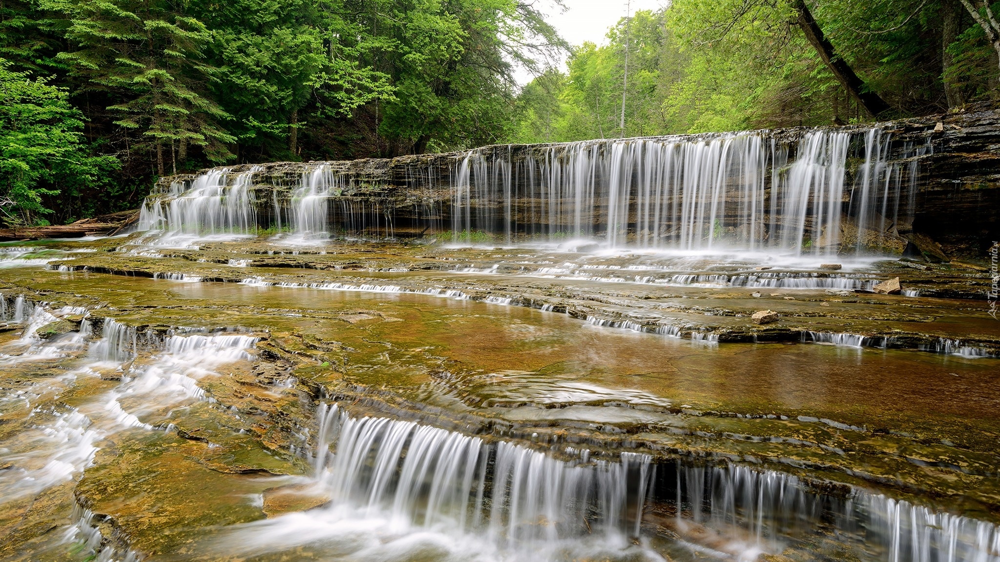 Stany Zjednoczone, Michigan, Hrabstwo Alger, Wodospad, Au Train Falls, Skały, Drzewa