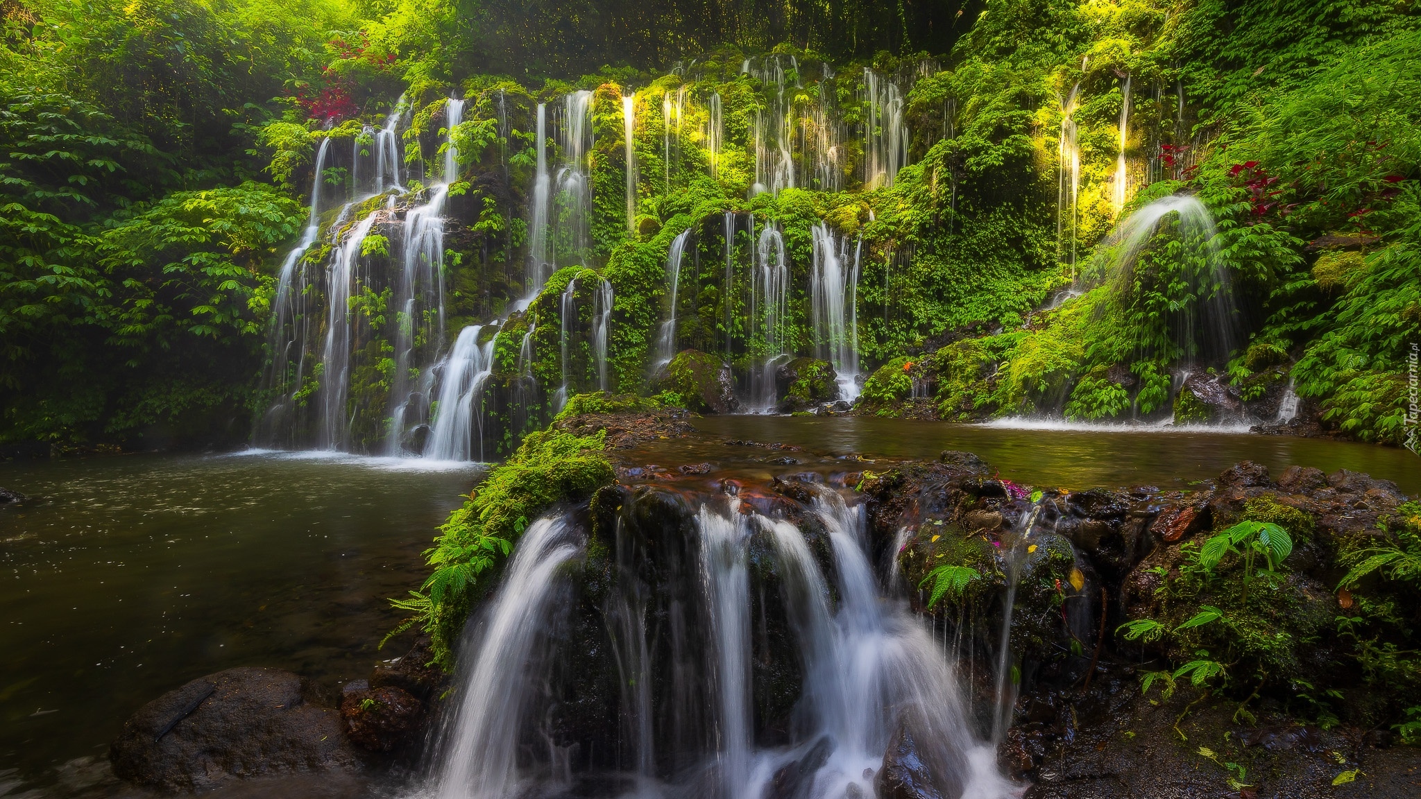 Indonezja, Bali, Okręg Buleleng, Las tropikalny, Wodospad, Banyu Wana Amertha Falls, Roślinność, Skały