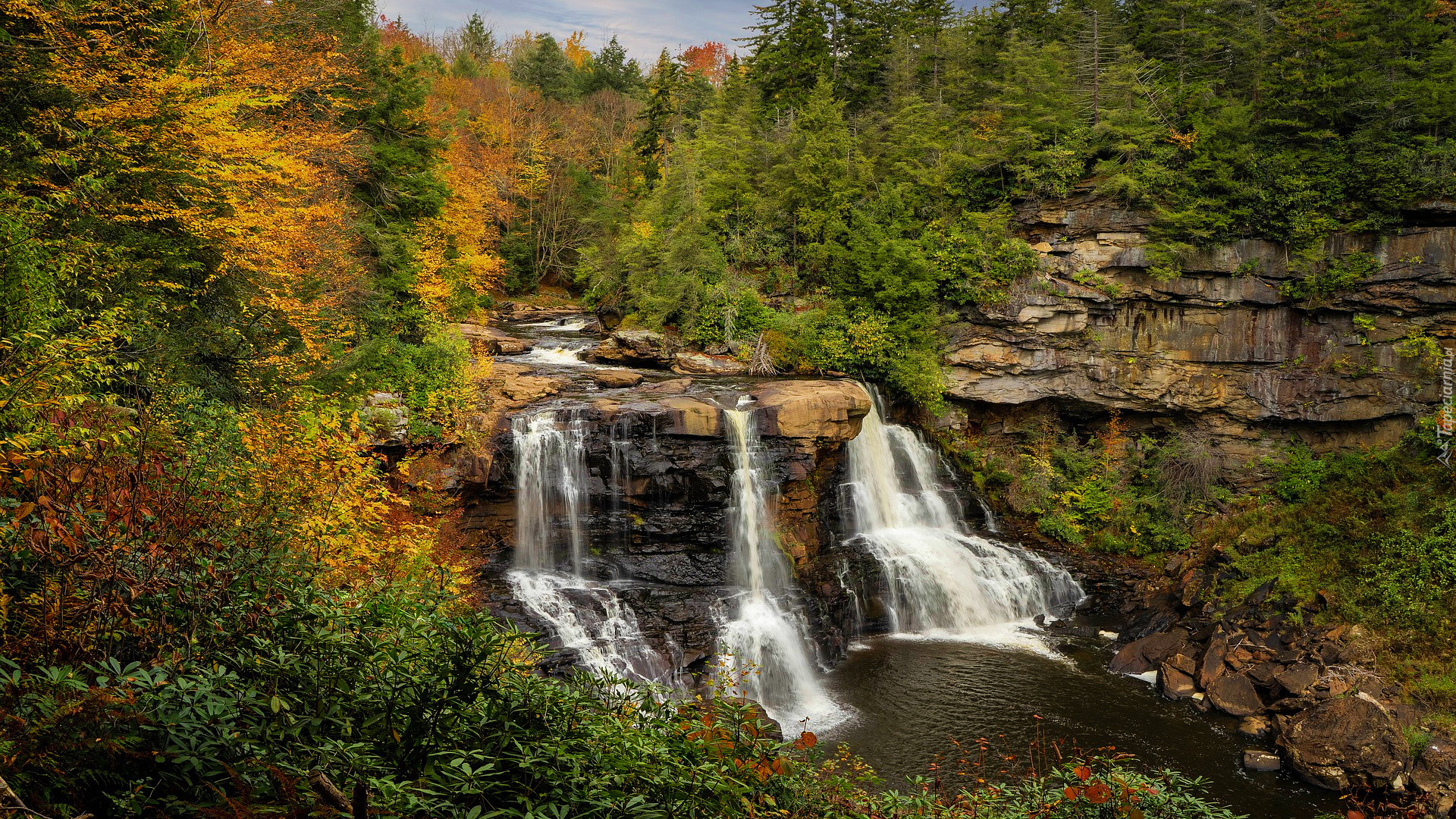 Stany Zjednoczone, Wirginia zachodnia, Park stanowy Blackwater Falls, Rzeka, Wodospad, Blackwater Falls, Skały, Drzewa