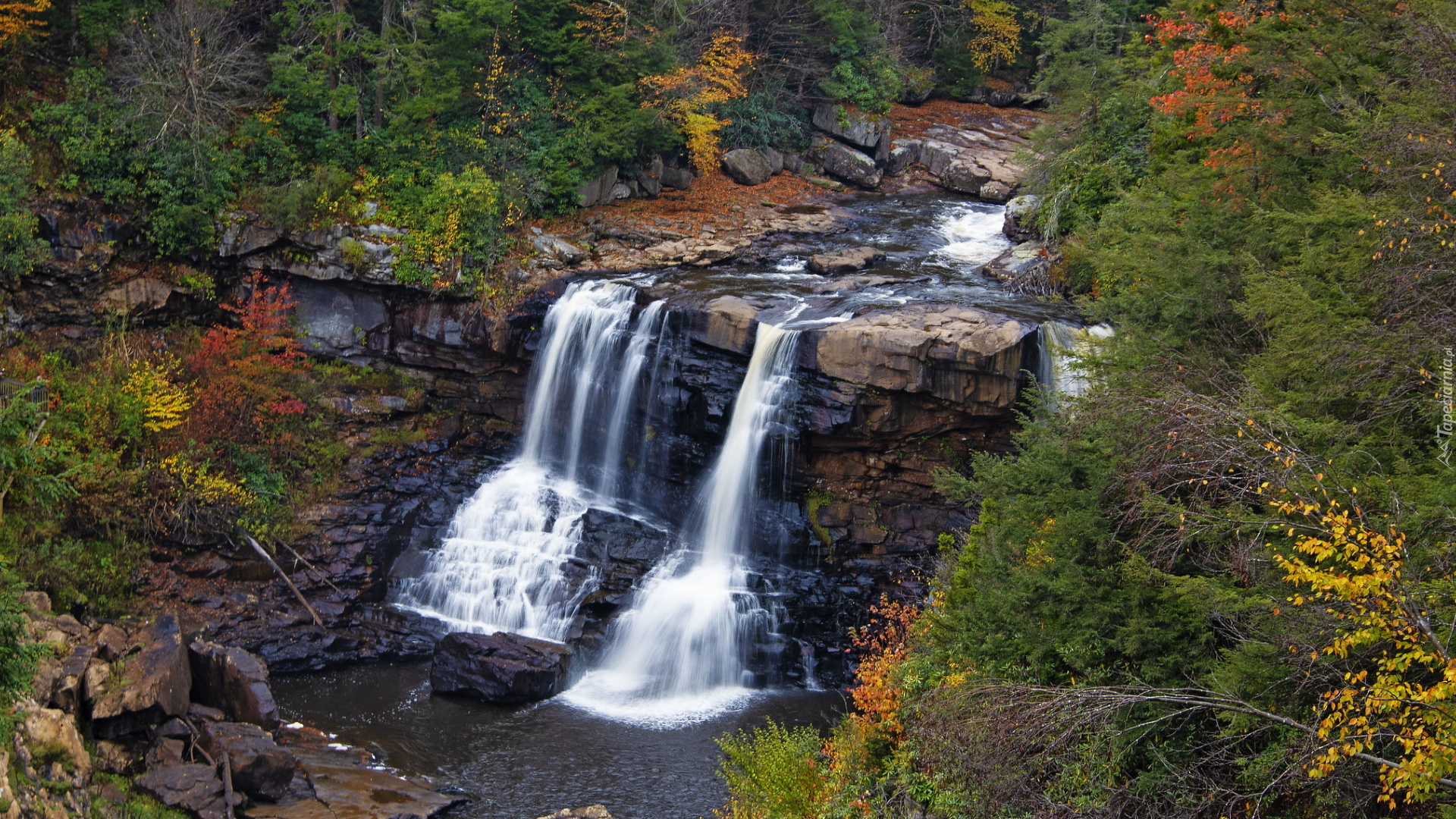 Stany Zjednoczone, Stan Wirginia Zachodnia, Park stanowy Blackwater Falls, Jesień, Drzewa, Las, Skały, Wodospad Blackwater Falls