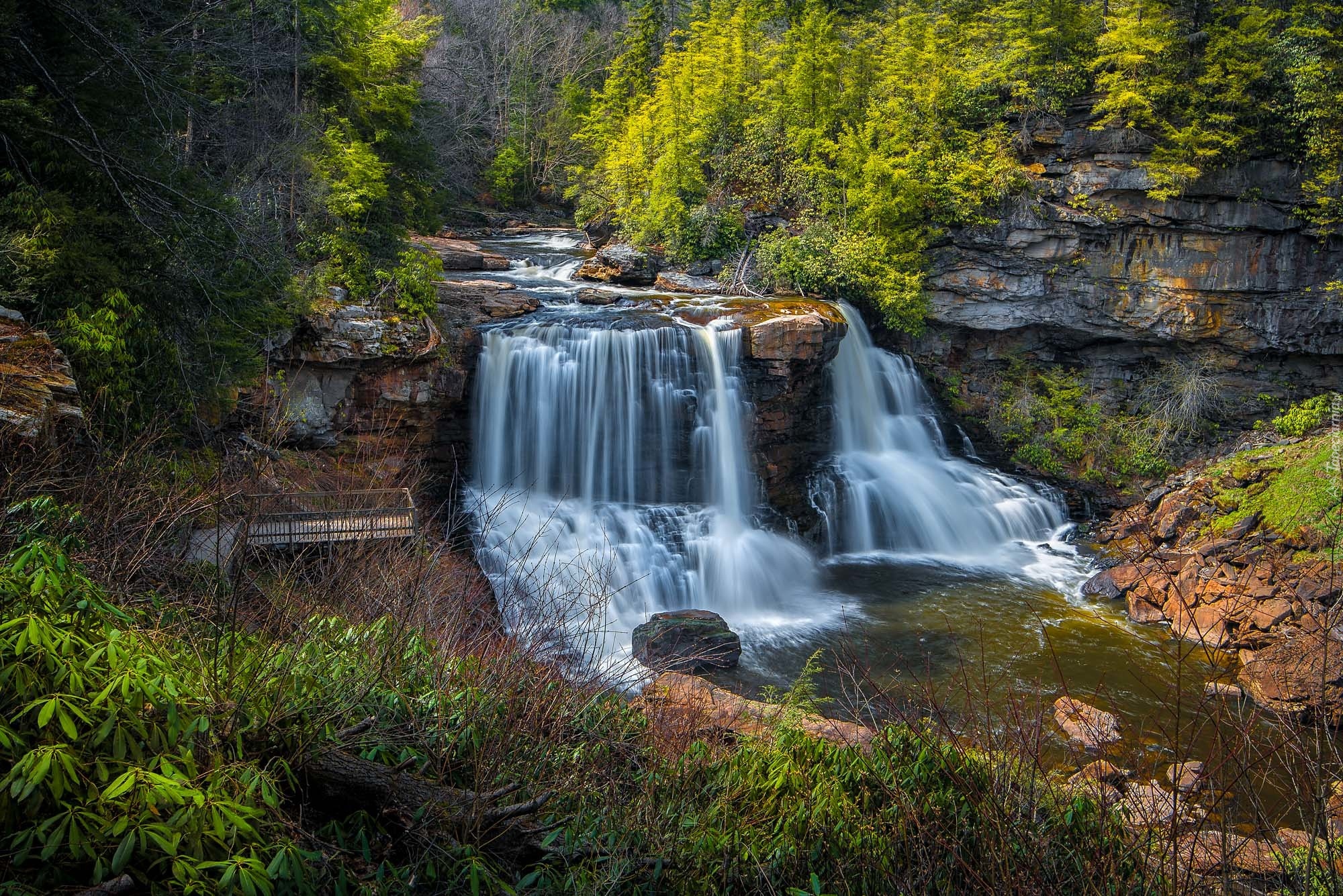 Park stanowy Blackwater Falls, Rzeka Blackwater, Wodospad, Blackwater Falls, Skały, Drzewa, Las, Wirginia Zachodnia, Stany Zjednoczone