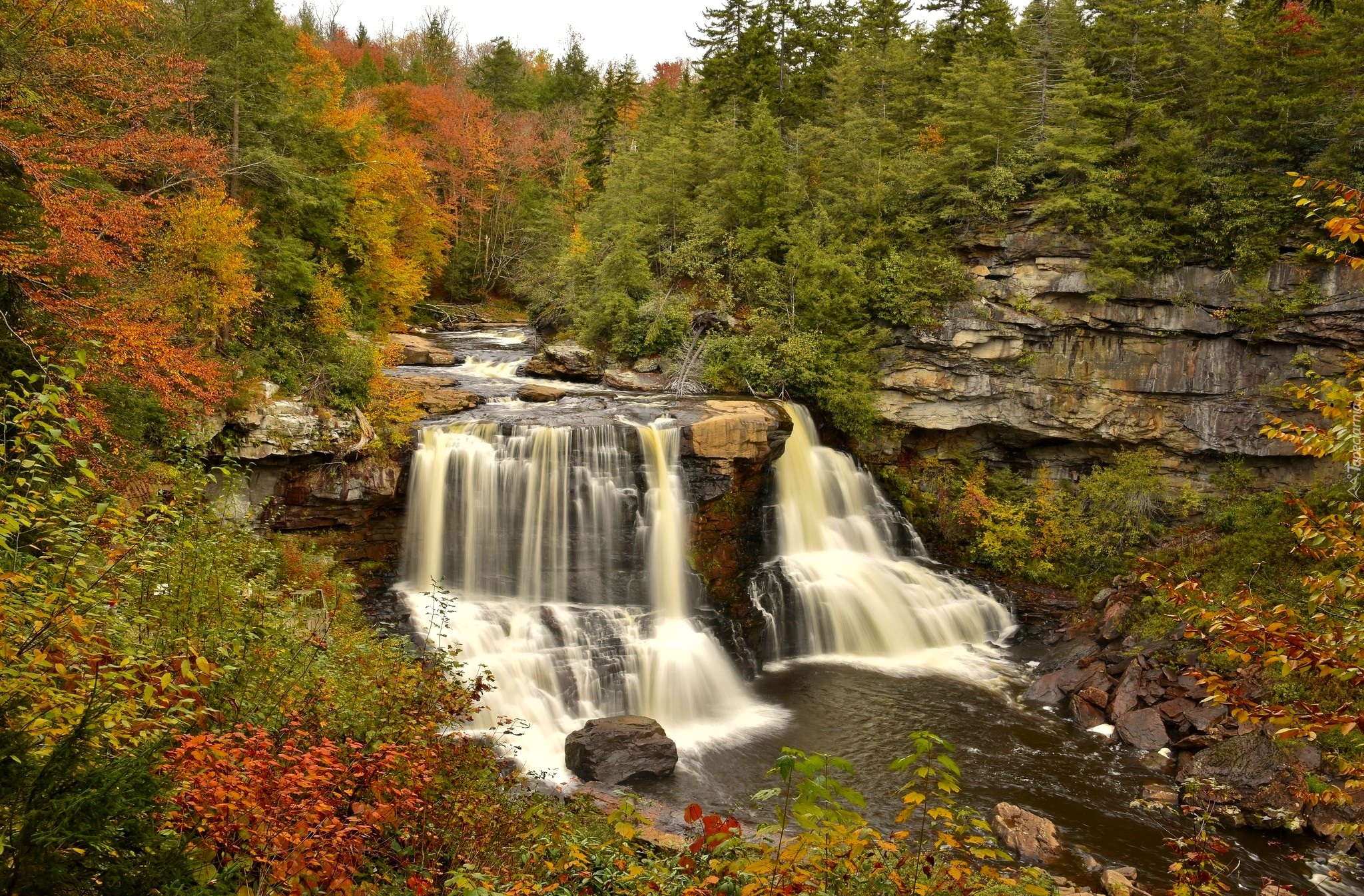 Stany Zjednoczone, Stan Wirginia Zachodnia, Park stanowy Blackwater Falls, Jesień, Las, Skały, Wodospad Blackwater Falls