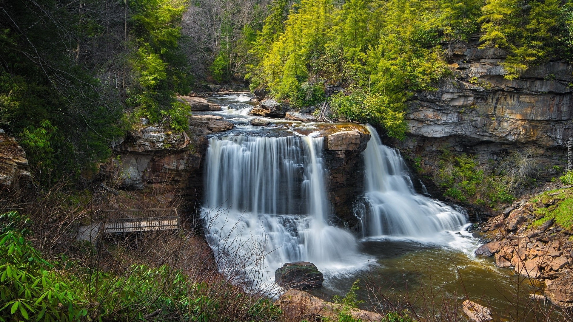 Skały, Rzeka, Wodospad Blackwater Falls, Drzewa, Kamienie, Park stanowy Blackwater, Stan Wirginia Zachodnia, Stany Zjednoczone