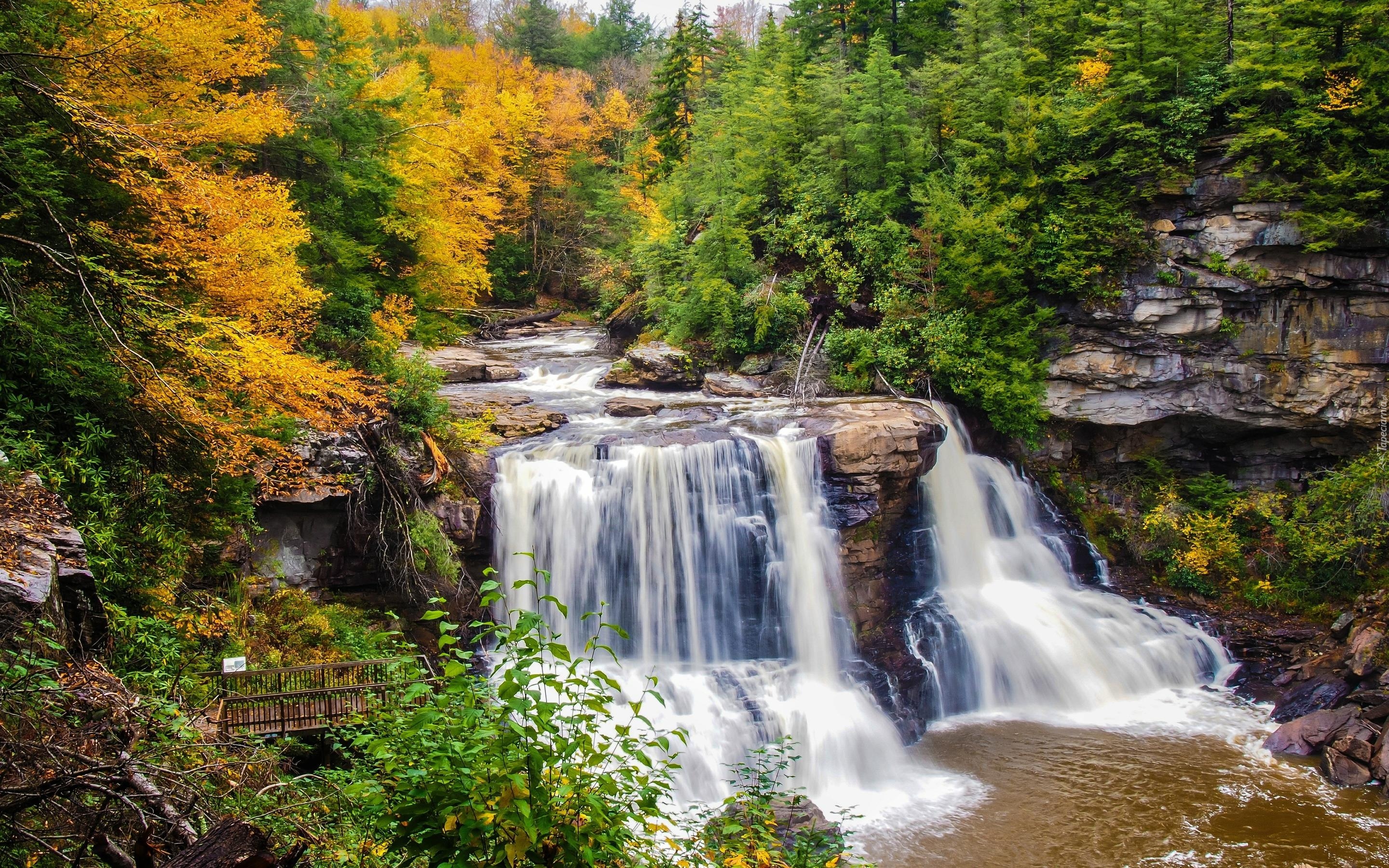 Wodospad Blackwater Falls, Rzeka Blackwater, Skały, Drzewa, Las, Jesień, Park stanowy Blackwater, Stan Wirginia Zachodnia, Stany Zjednoczone