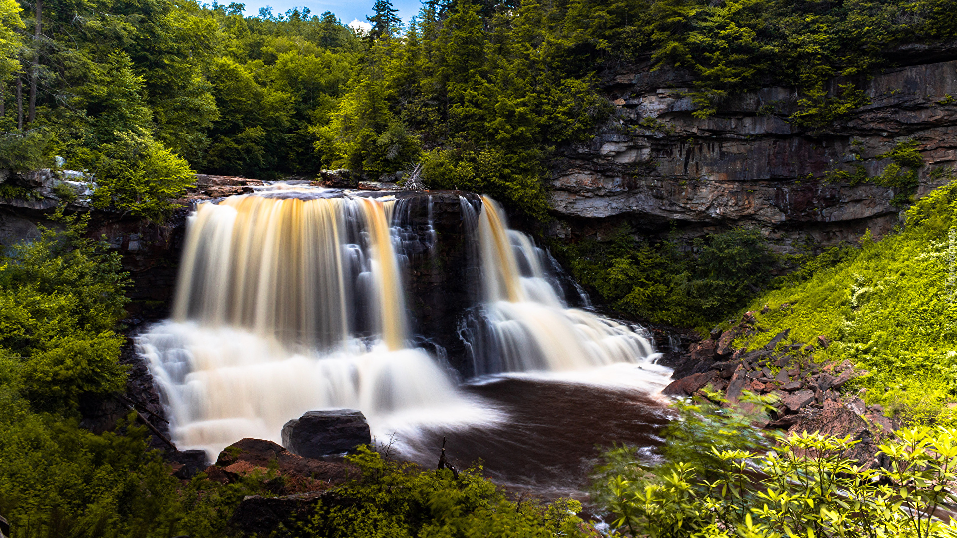 Wodospad Blackwater, Las, Drzewa, Skały, Rośliny, Park stanowy Blackwater Falls, Wirginia Zachodnia, Stany Zjednoczone