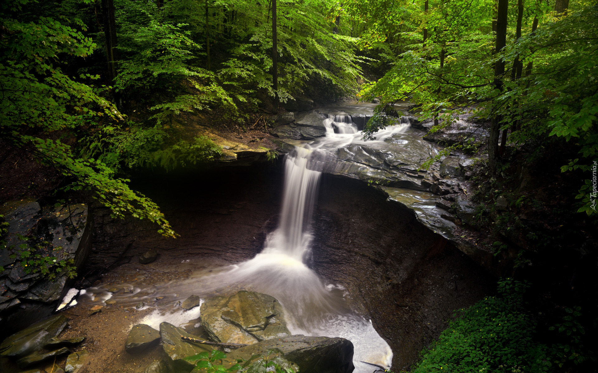 Wodospad, Blue Hen Falls, Rzeka, Skała, Las, Drzewa, Kamienie, Park Narodowy Cuyahoga Valley, Stan Ohio, Stany Zjednoczone