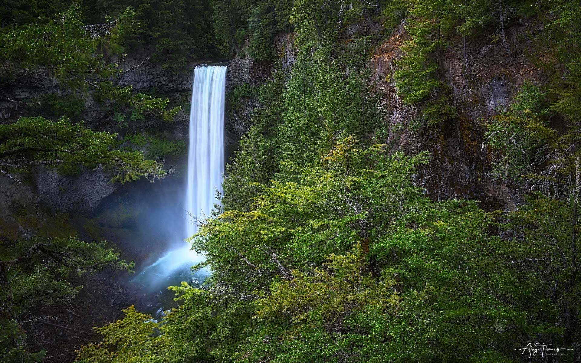 Las, Skały, Wodospad, Brandywine Falls, Drzewa, Kolumbia Brytyjska, Kanada