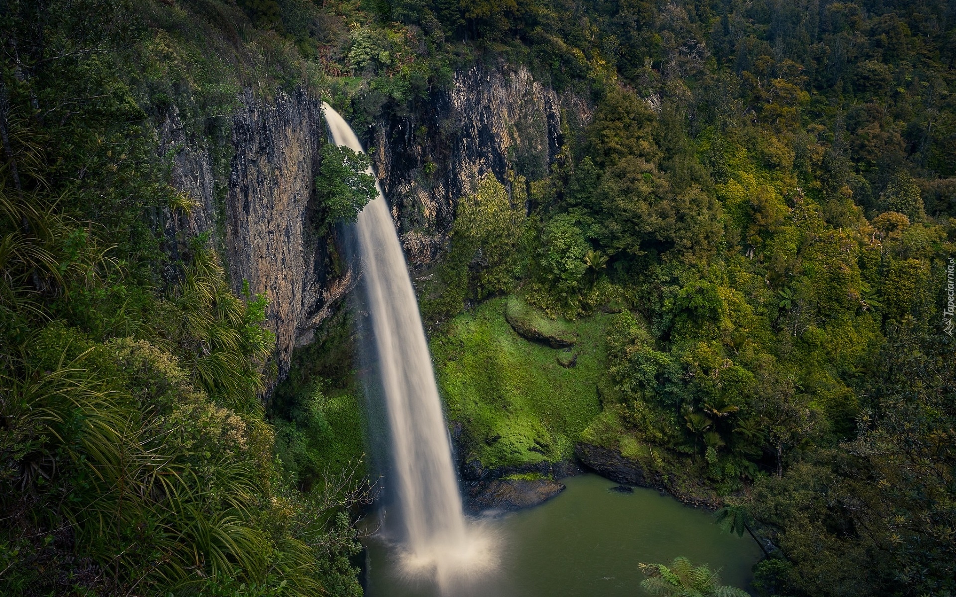 Nowa Zelandia, Region Waikato, Wodospad, Bridal Veil Falls, Rzeka, Pakoka River, Skały, Las, Drzewa