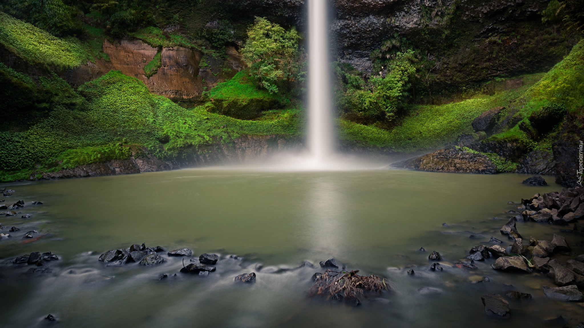 Wodospad, Bridal Veil Falls, Skały, Rośliny, Rzeka, Pakoka River, Region Waikato, Nowa Zelandia