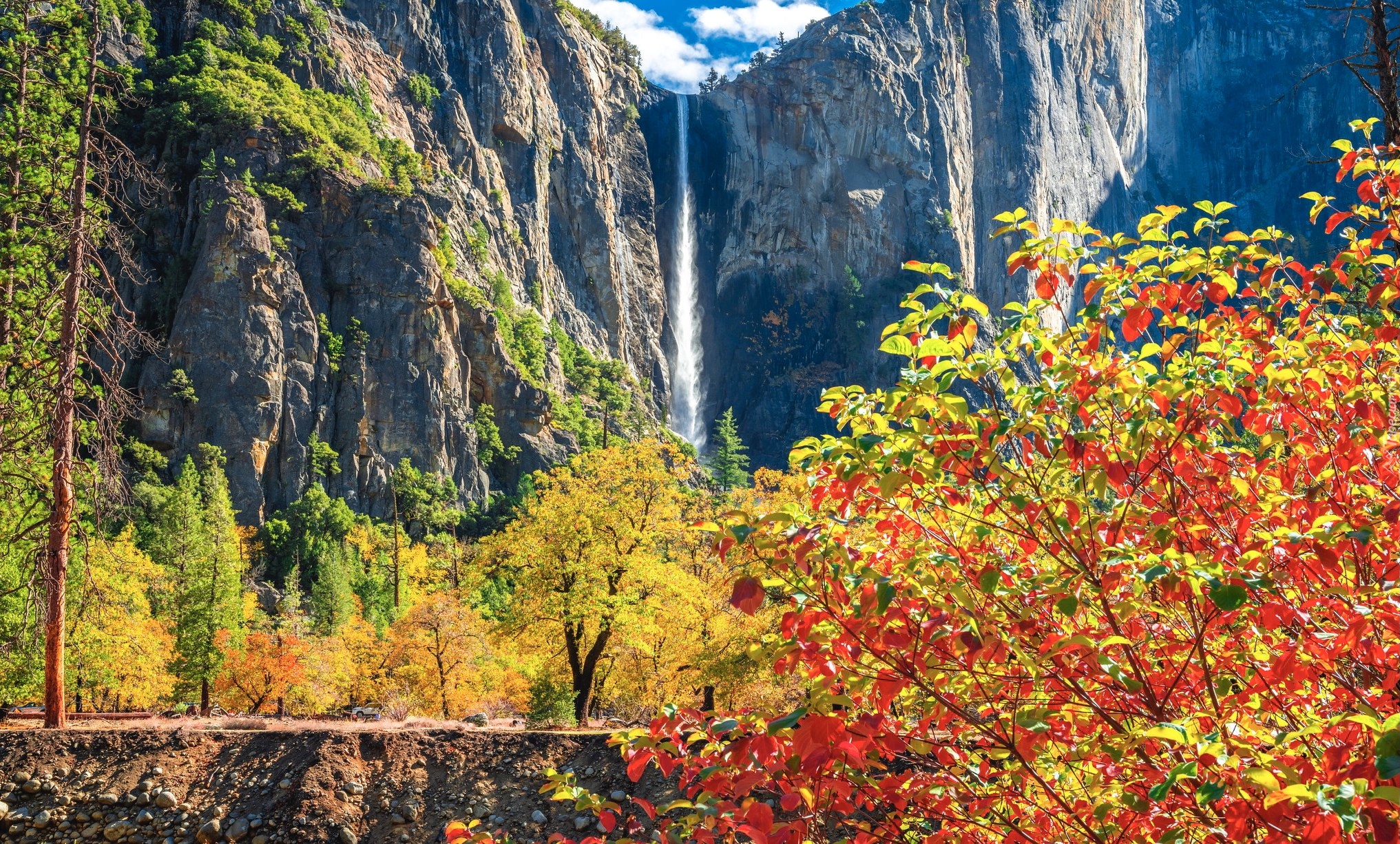 Stany Zjednoczone, Kalifornia, Park Narodowy Yosemite, Góry, Wodospad, Bridalveil Falls, Drzewa, Jesień, Skały