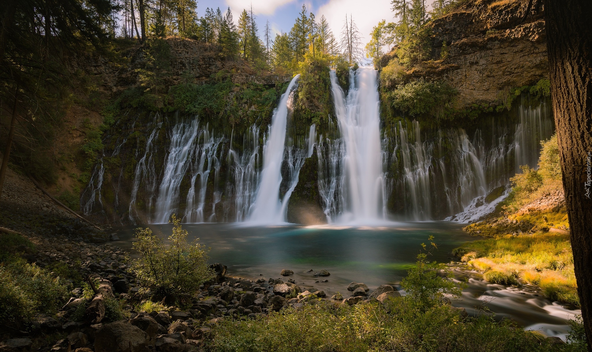 Wodospad Burney Falls, Drzewa, Rzeka, Skała, Park McArthur-Burney Falls, Hrabstwo Shasta, Stan Kalifornia, Stany Zjednoczone