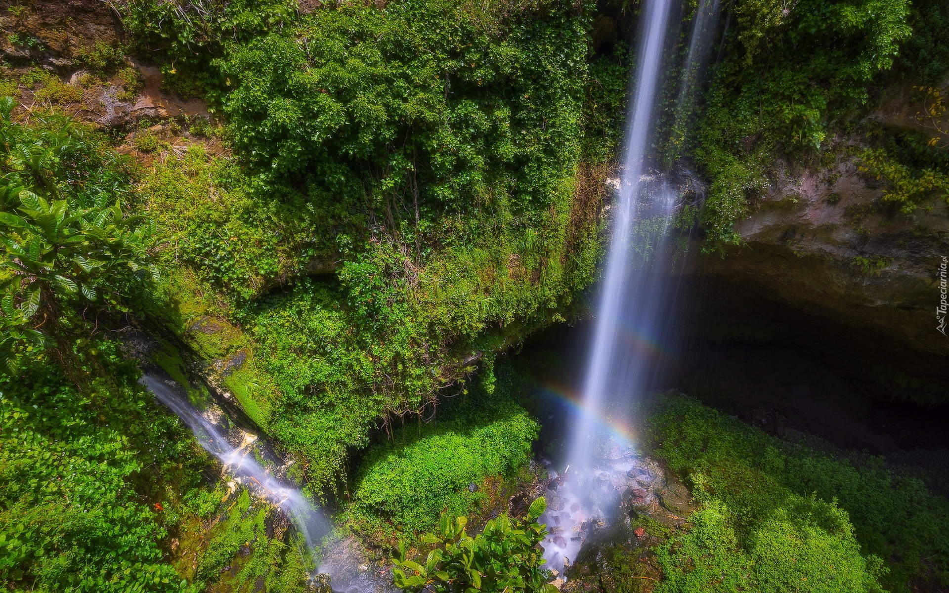 Wodospad, Cave Garden Waterfall, Jaskinia, Roślinność, Tęcza, Mount Gambier, Australia