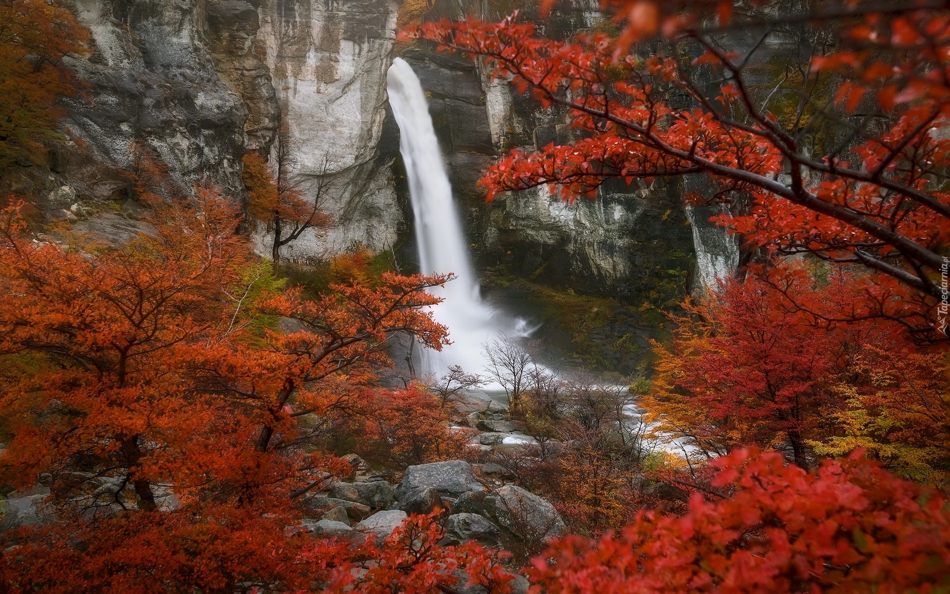 Wodospad, Chorillo Del Salto, Patagonia, Jesień, Roślinność, Skały, Argentyna