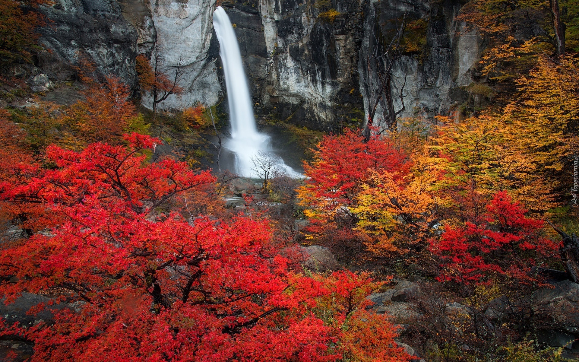 Wodospad, Chorrillo del Salto, Jesień, Kolorowe, Drzewa, Skały, Prowincja Santa Cruz, Argentyna